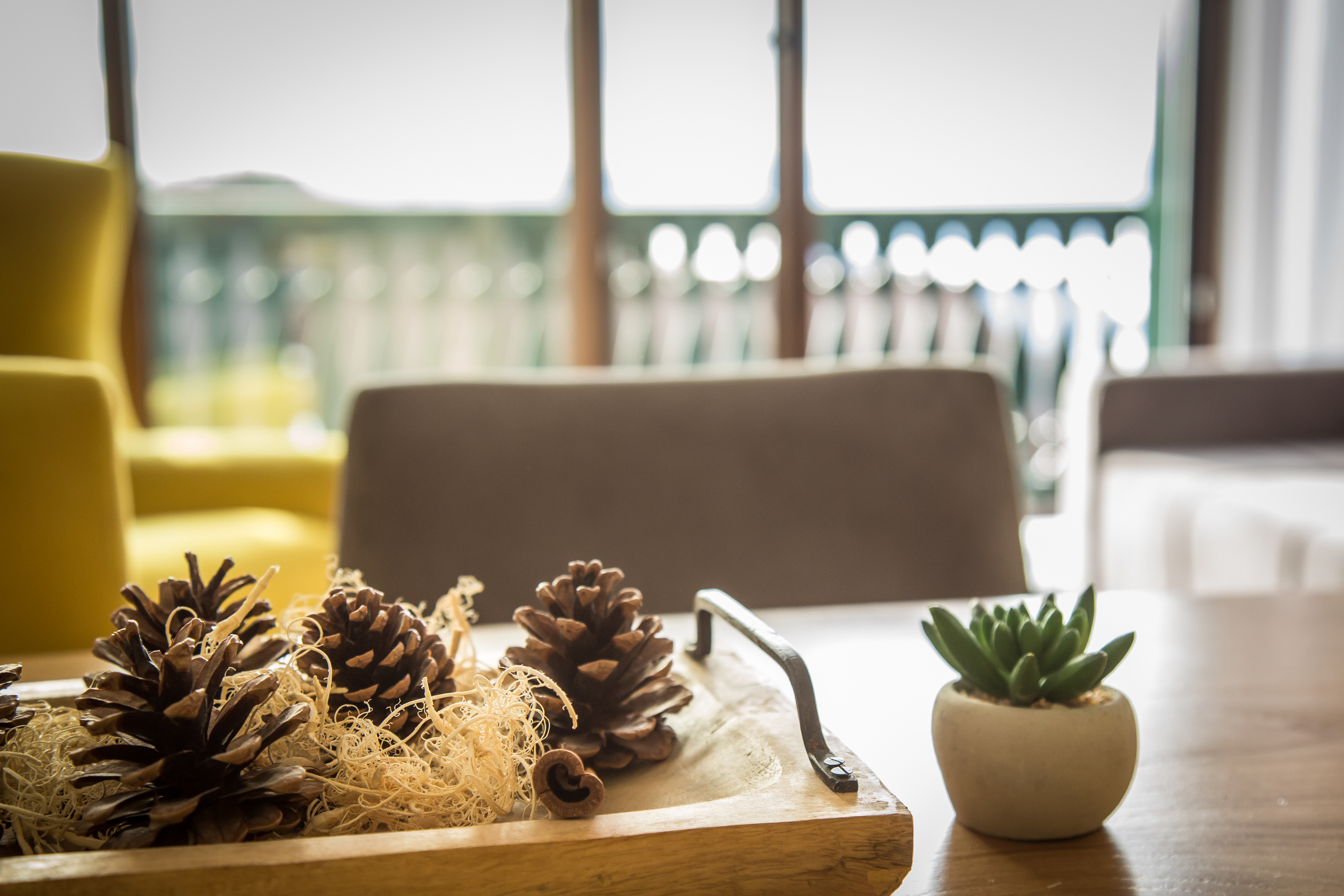 Apartment Superior One Bedroom