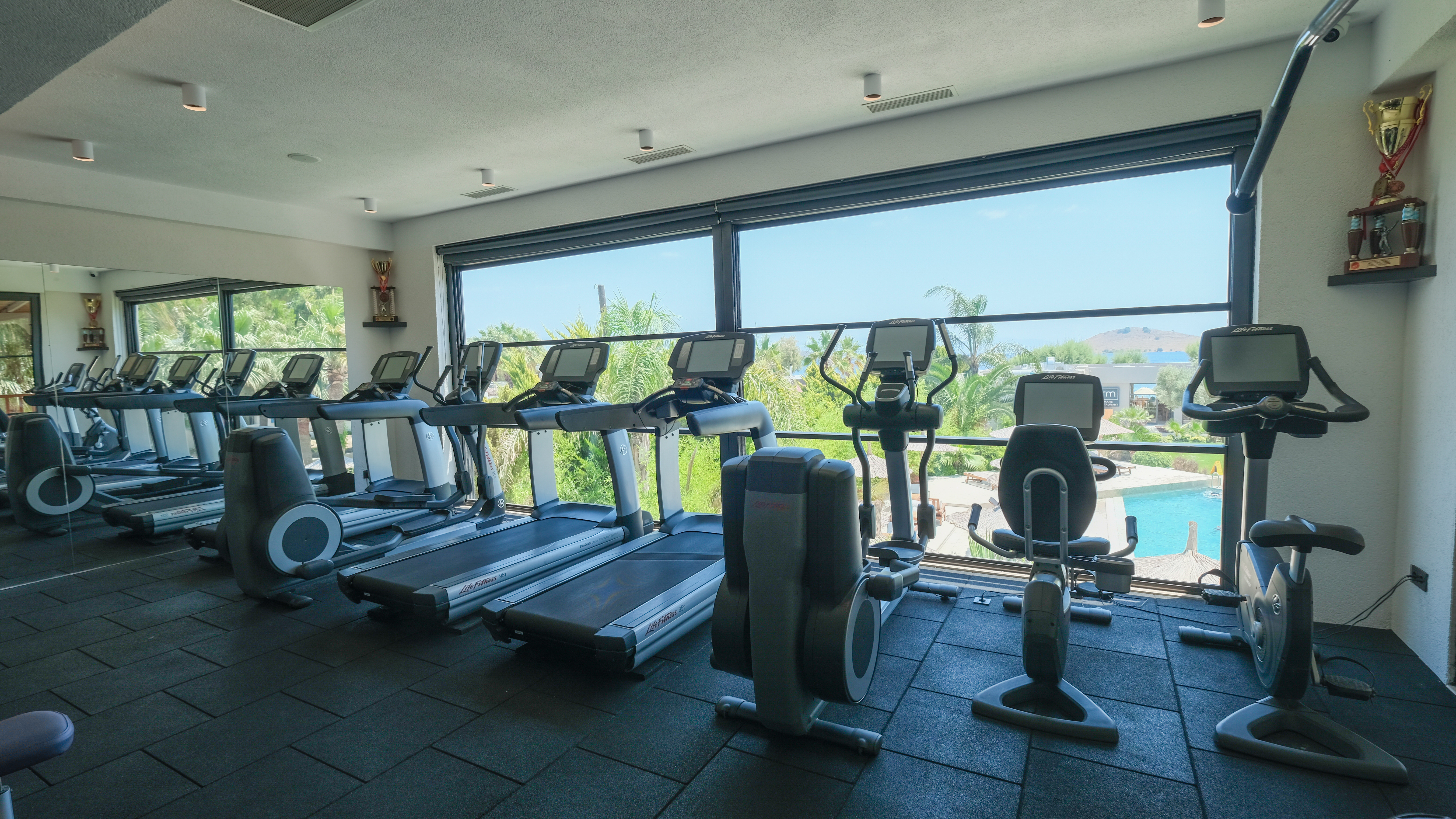 Sports and Entertainment