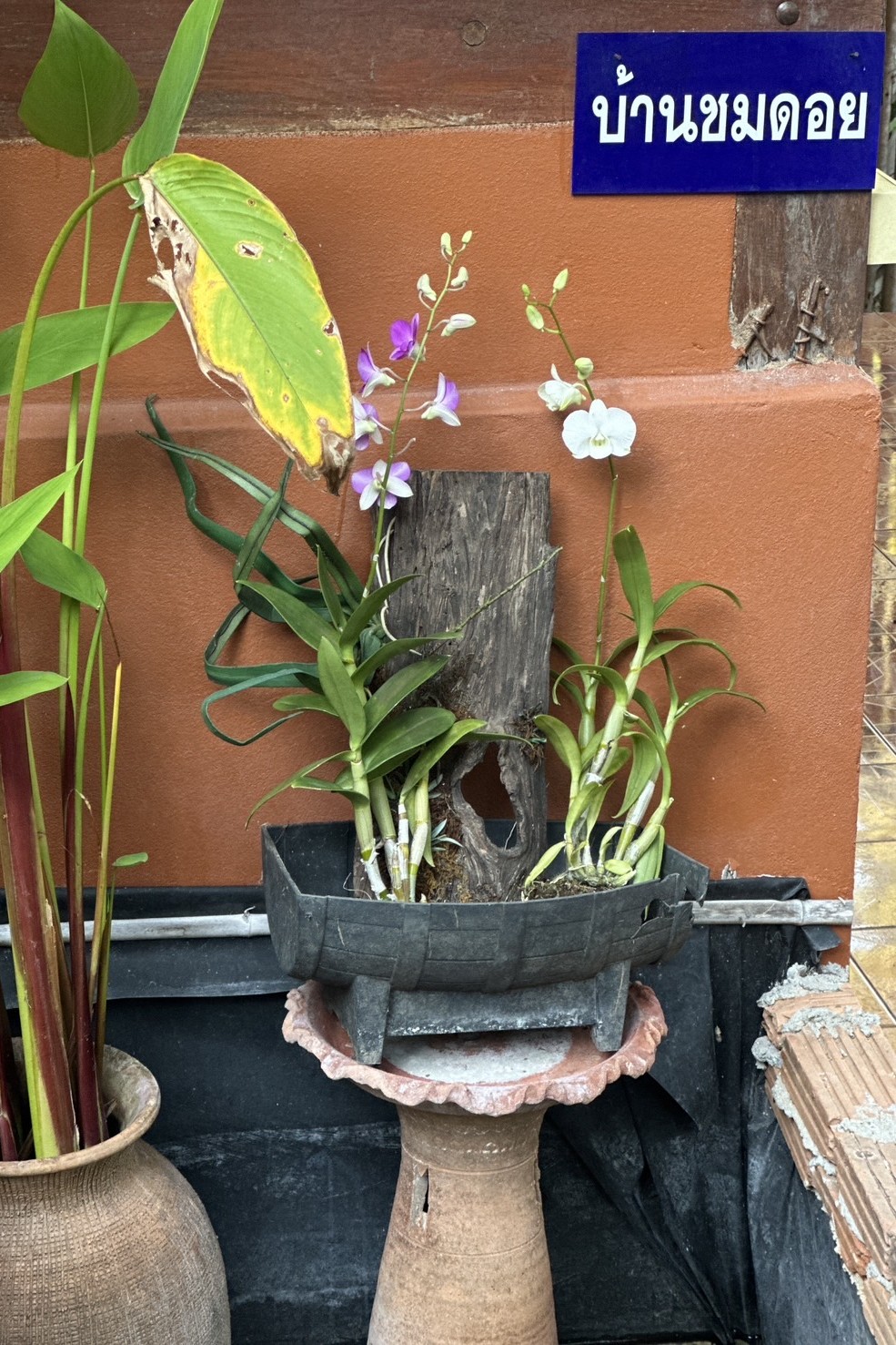 Single with Air Conditioning