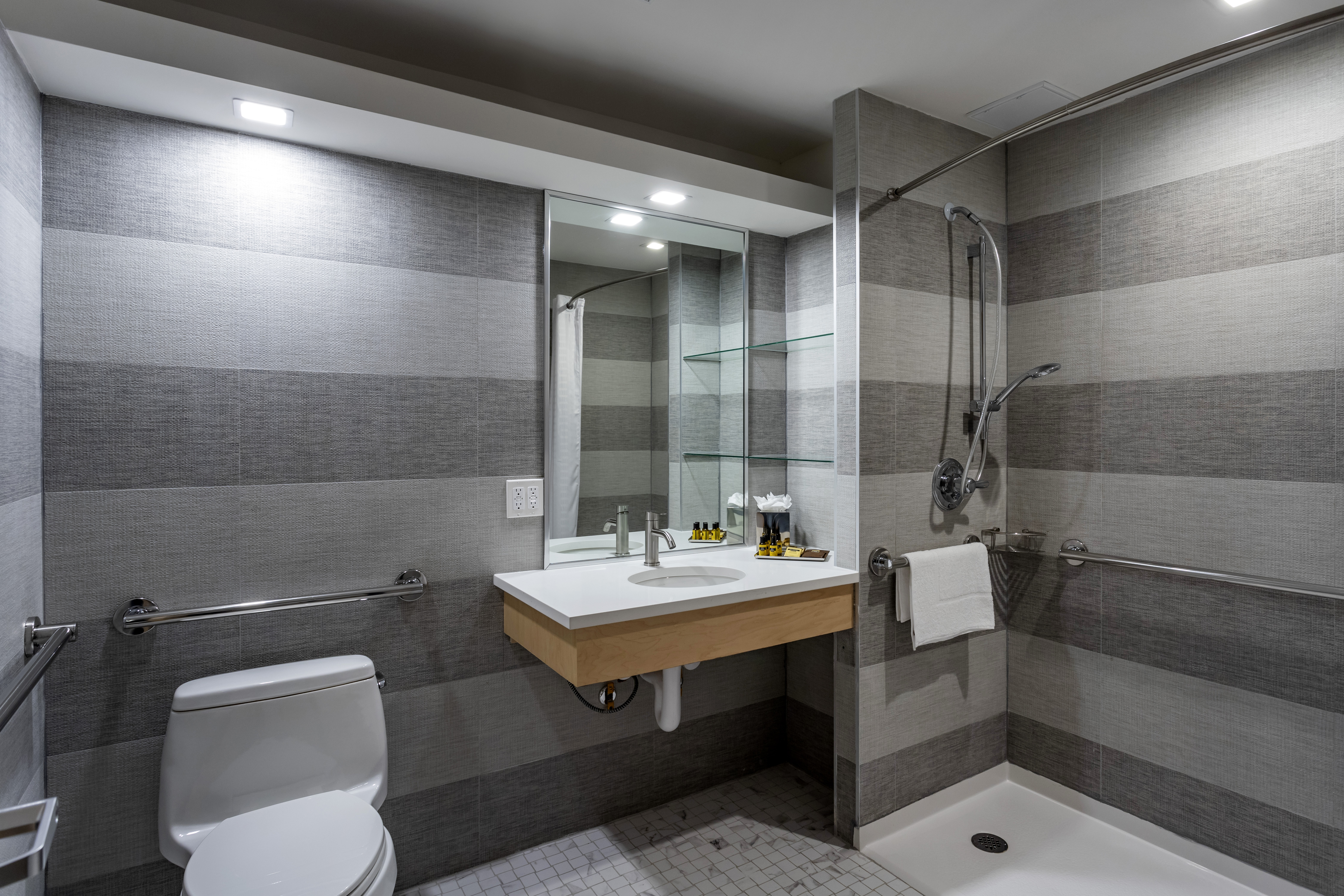 Suite Accessible-queen Size Bed