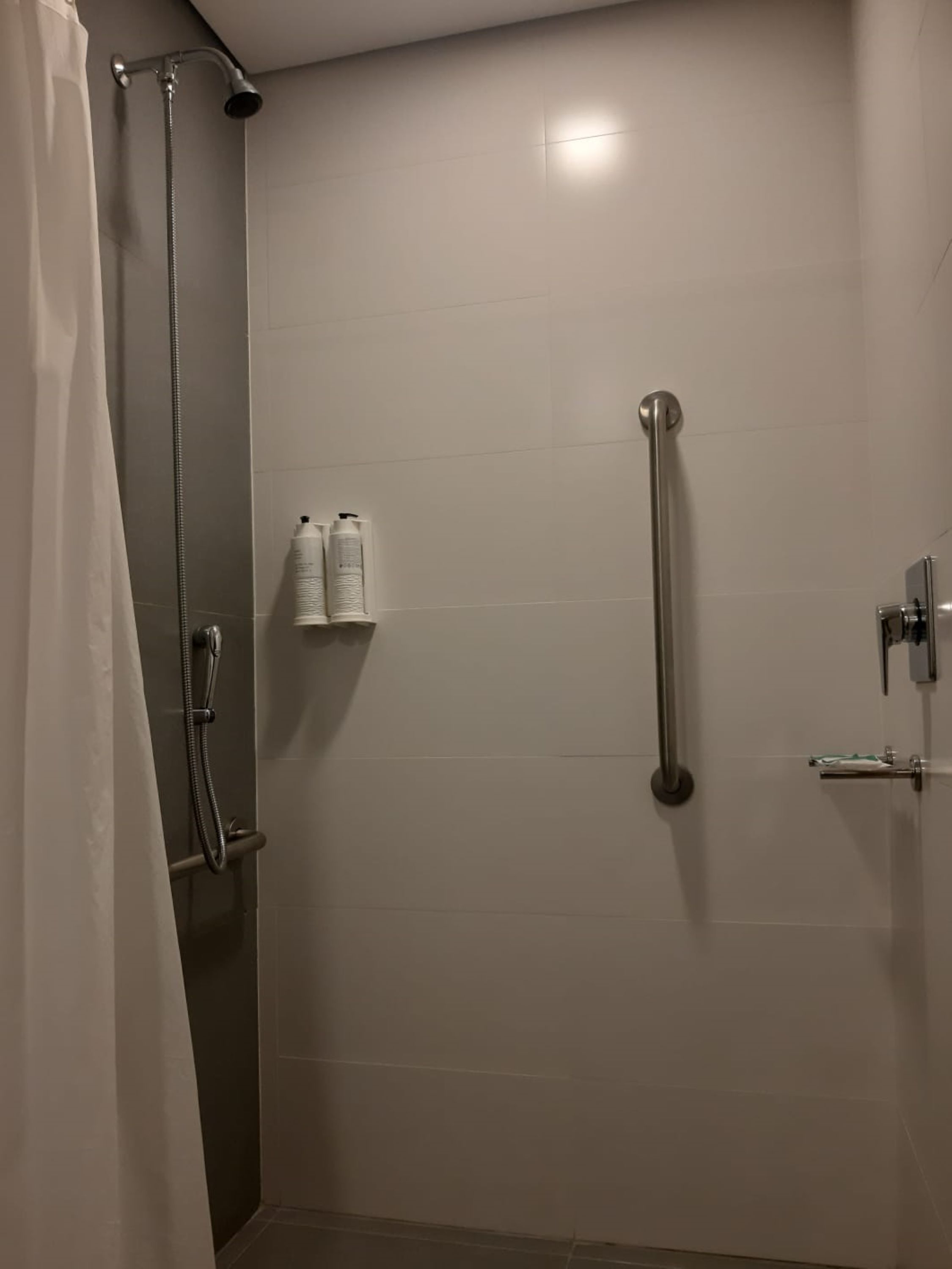 Single Accesible Deluxe 