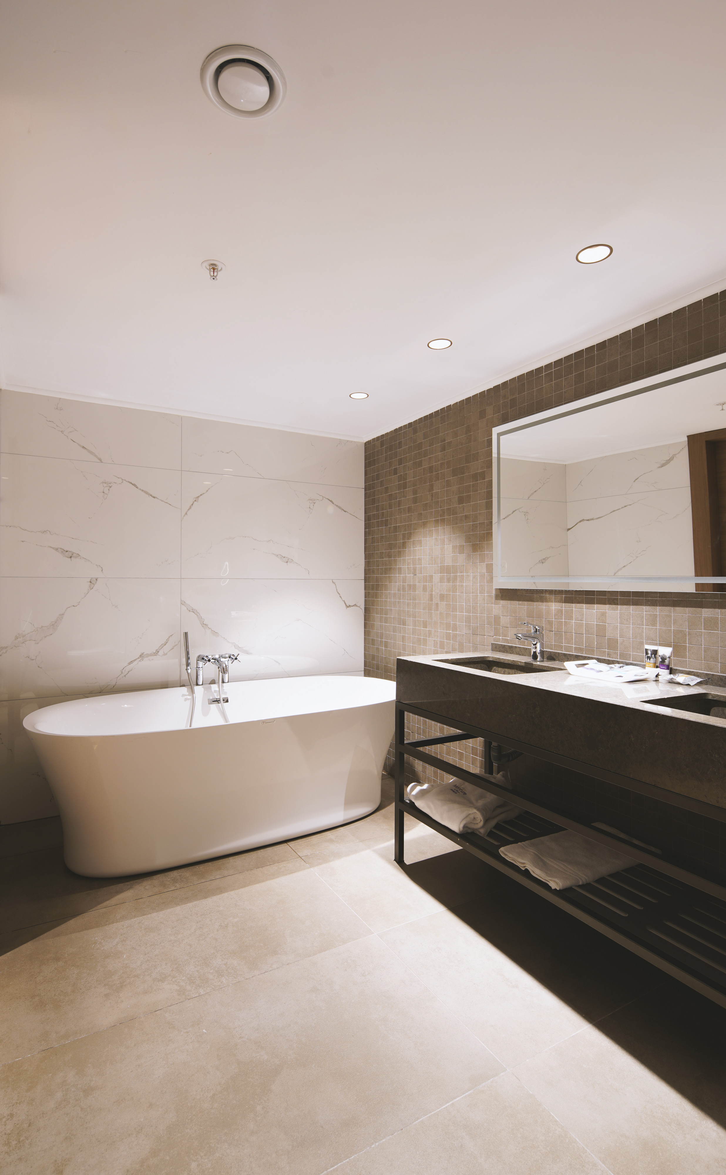 Suite King Bed One Bedroom 