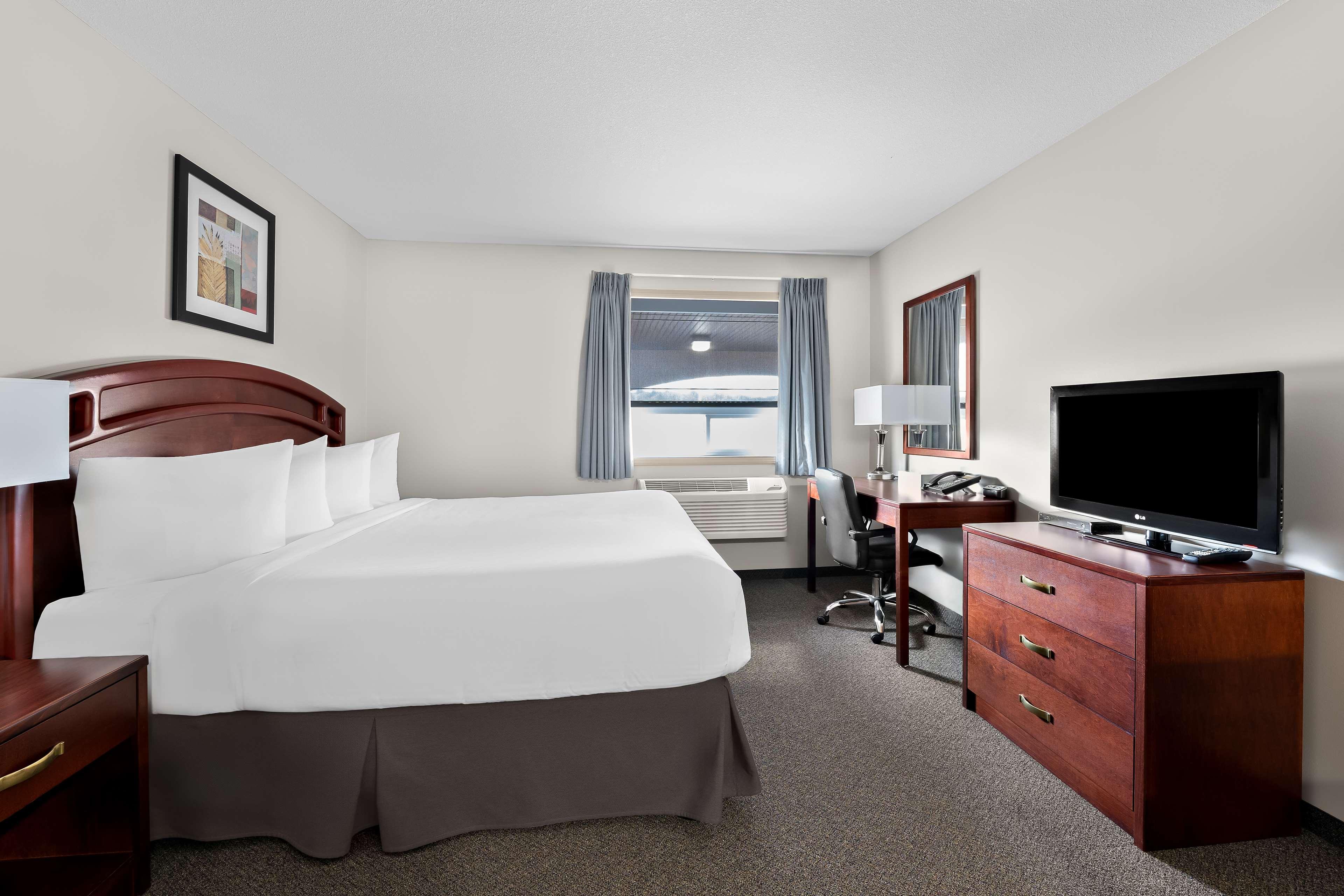 Suite King Bed Non Smoking