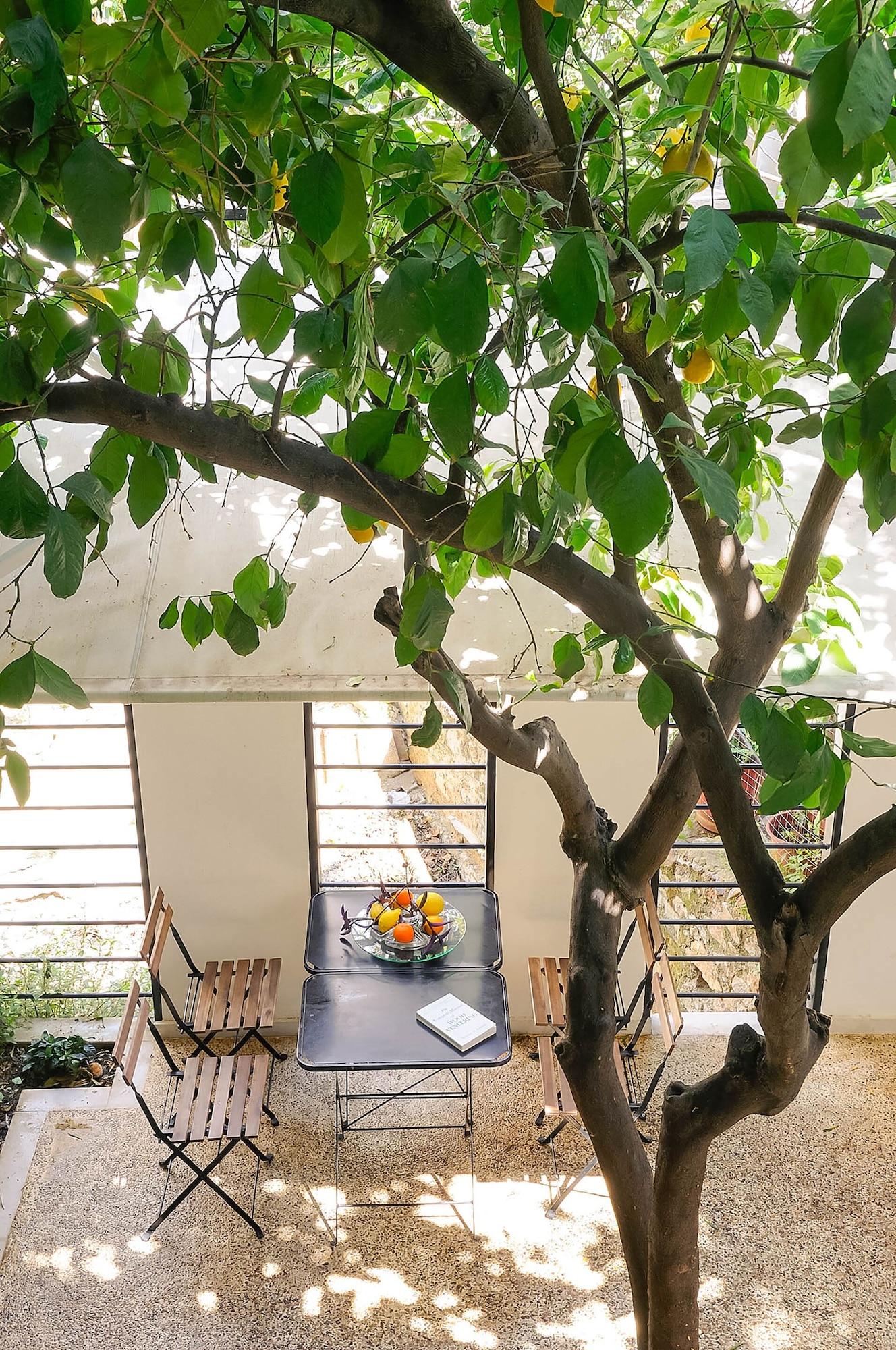 Apartment with Views