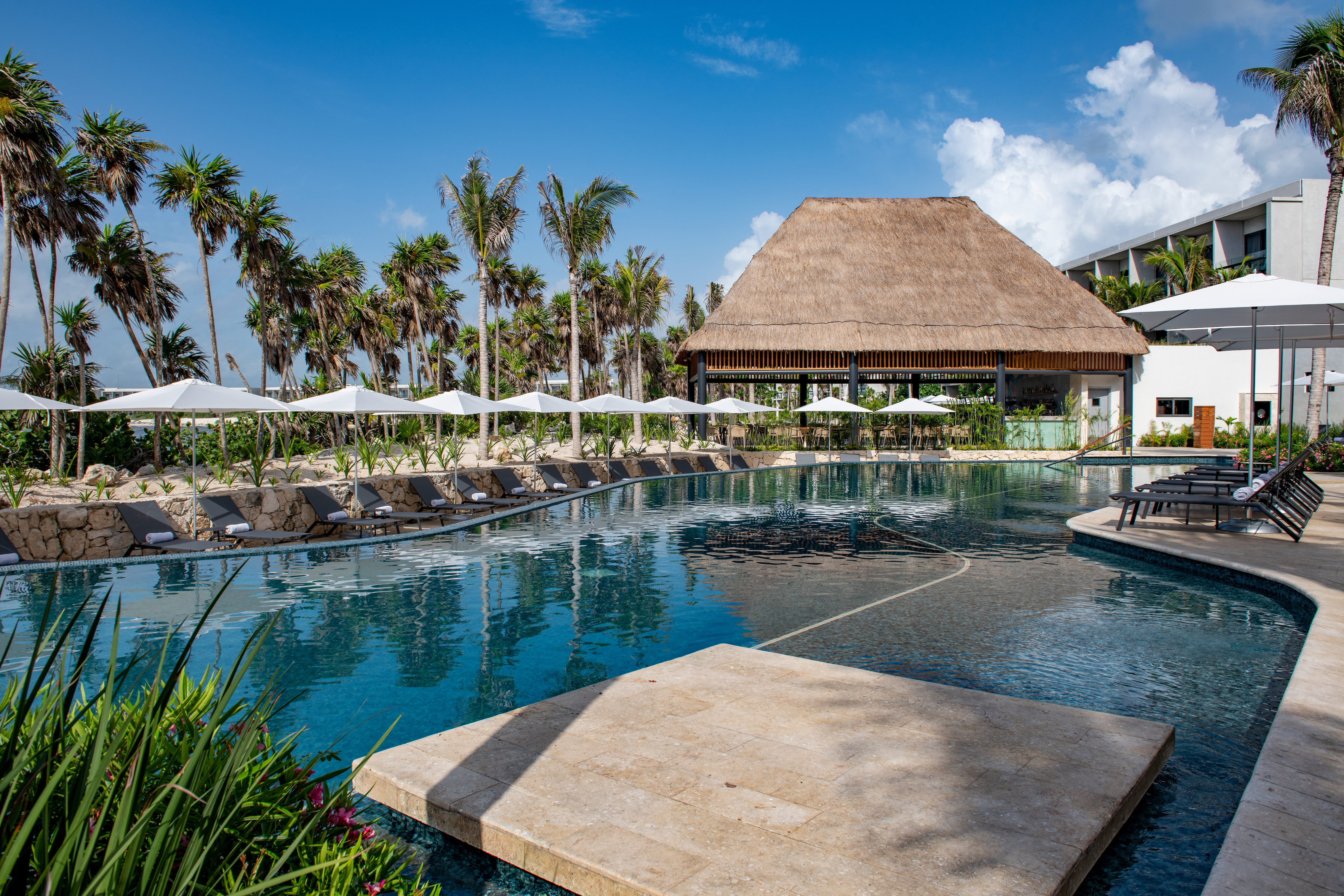 Suite Partial Ocean View