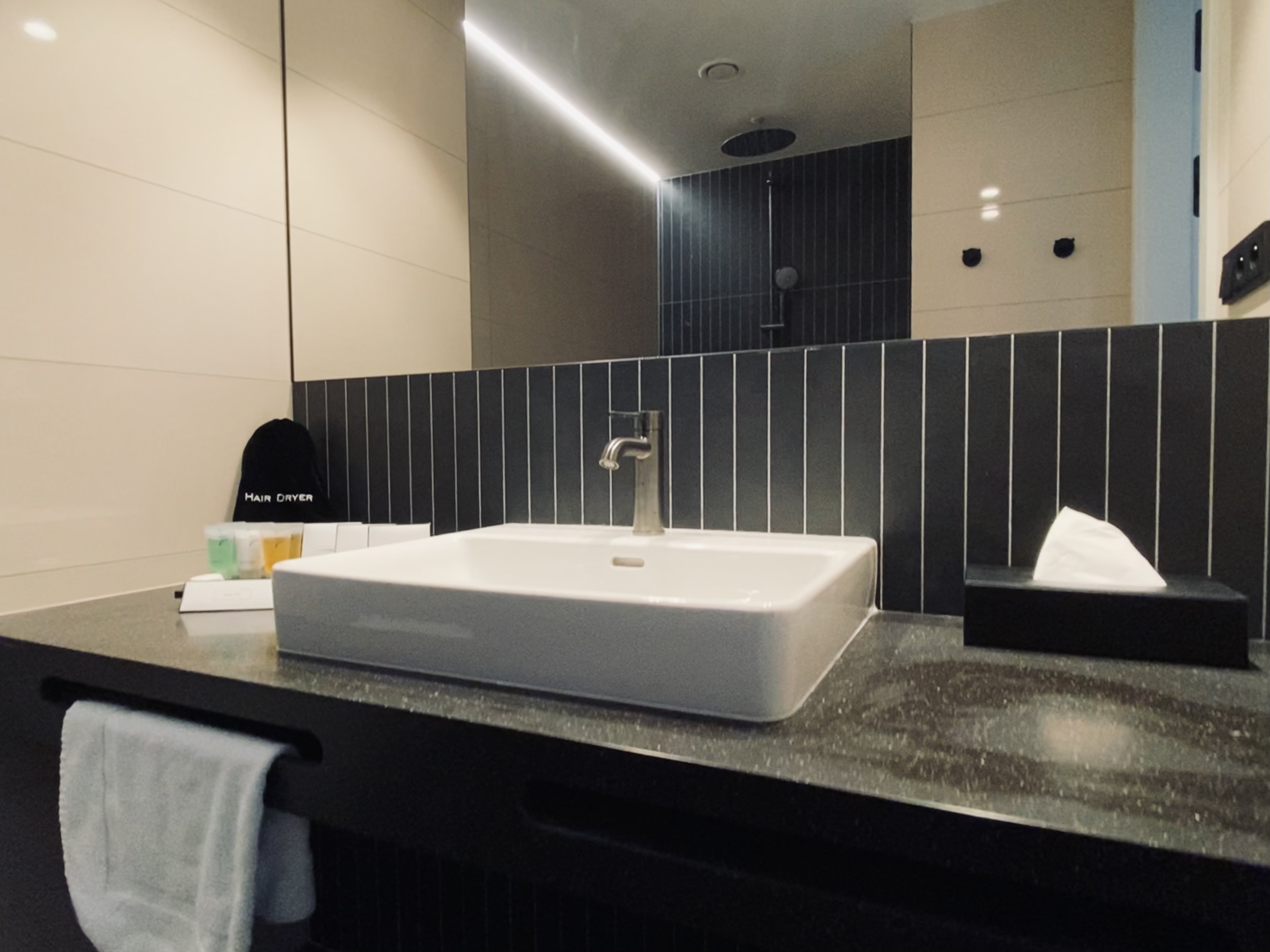 Double or Twin Economy