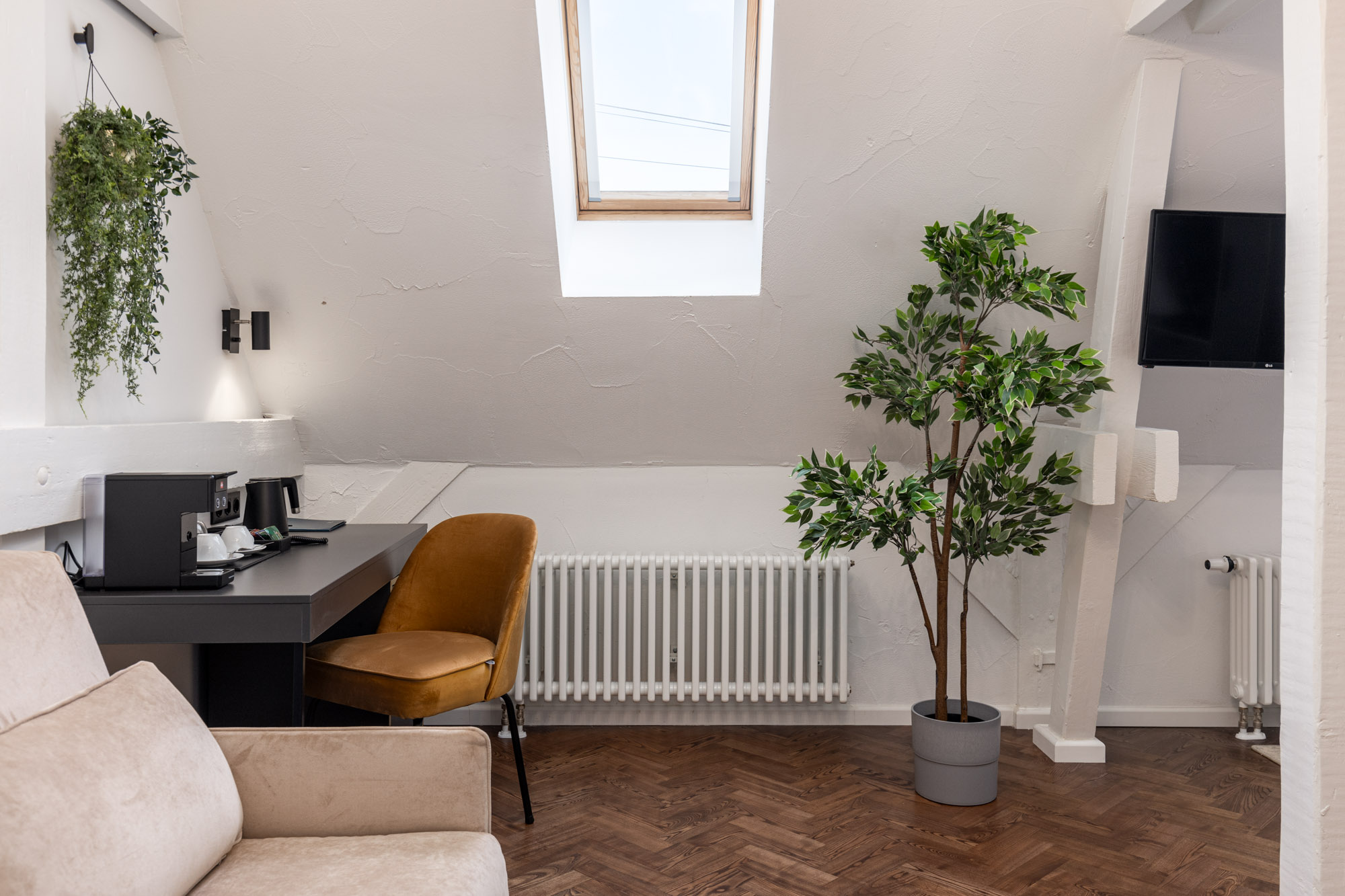 Junior Suite Standard