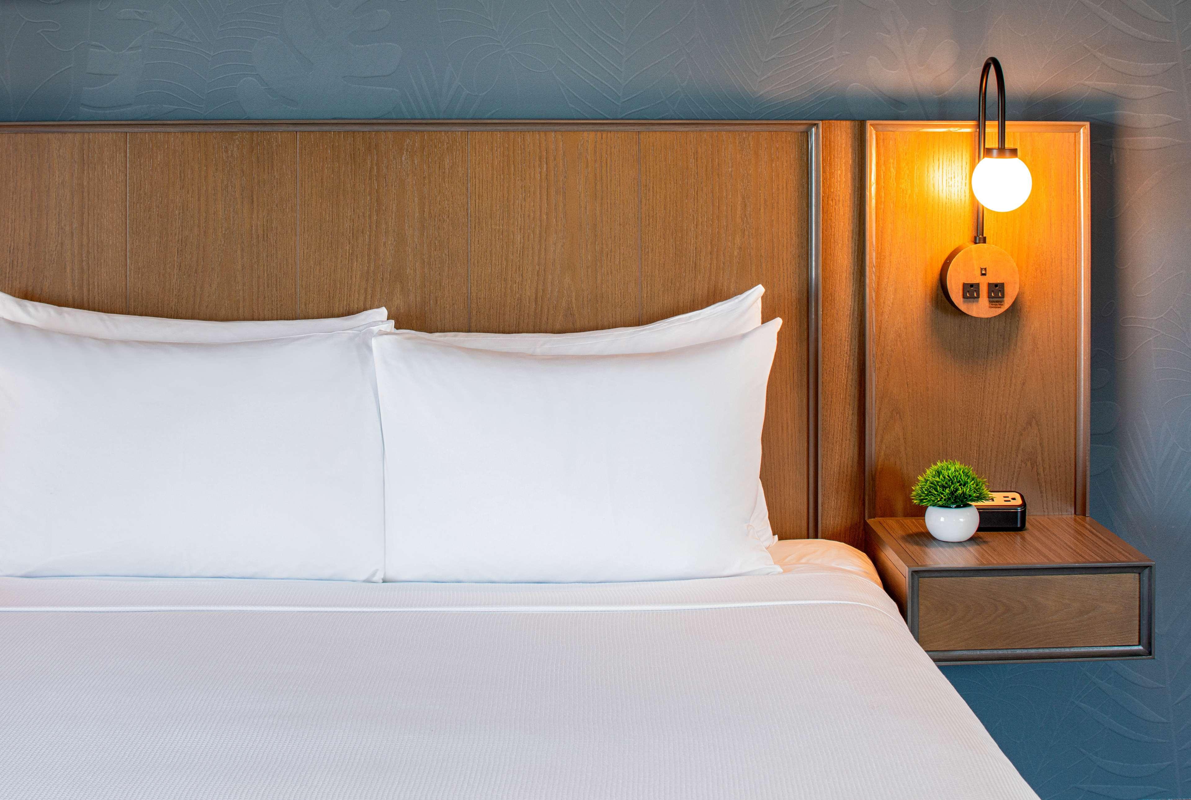 Double King Size Bed