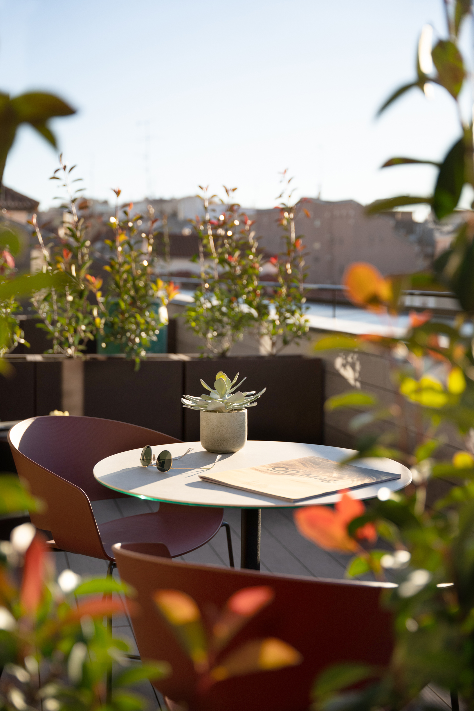 Double or Twin Deluxe with Terrace