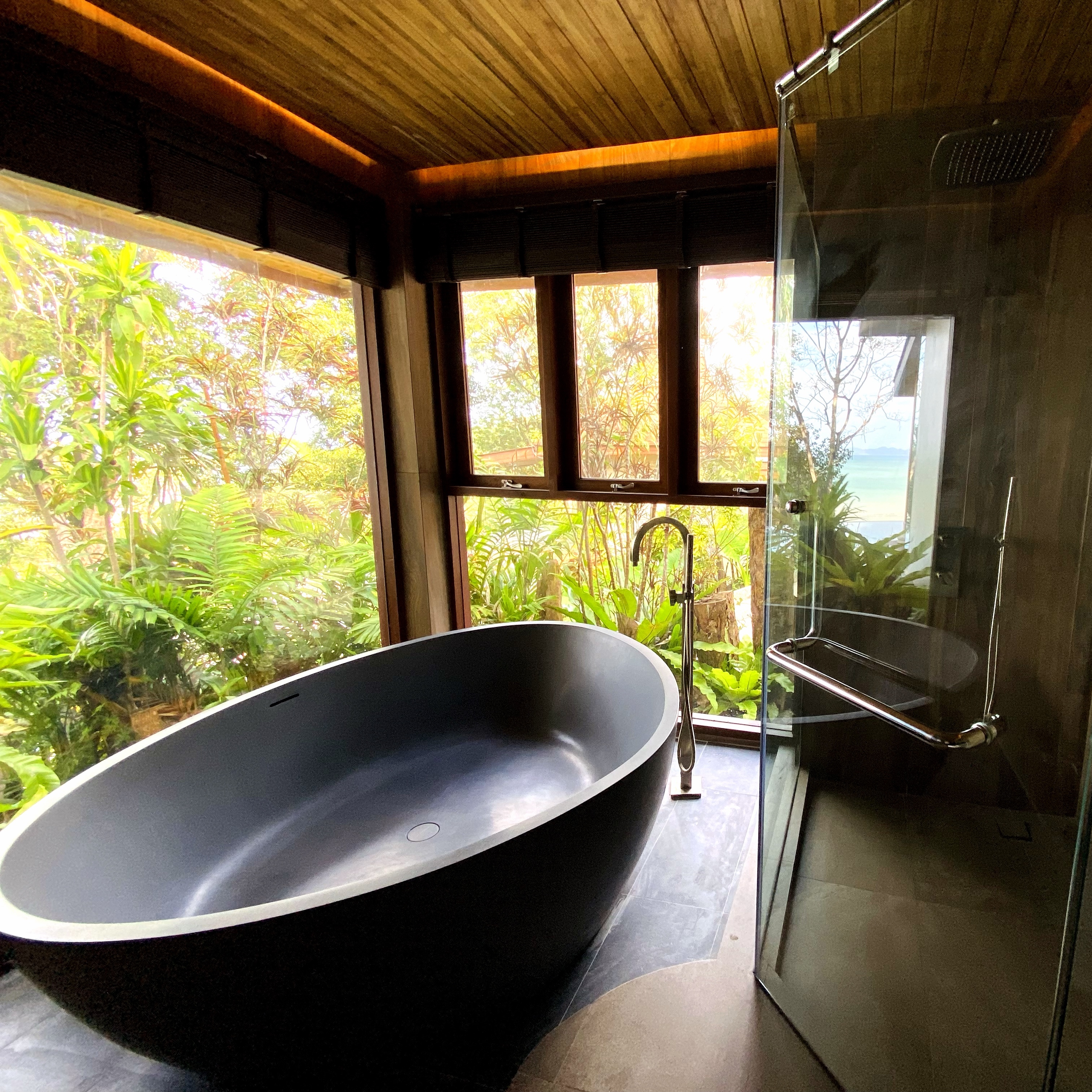 Suite with Private Pool