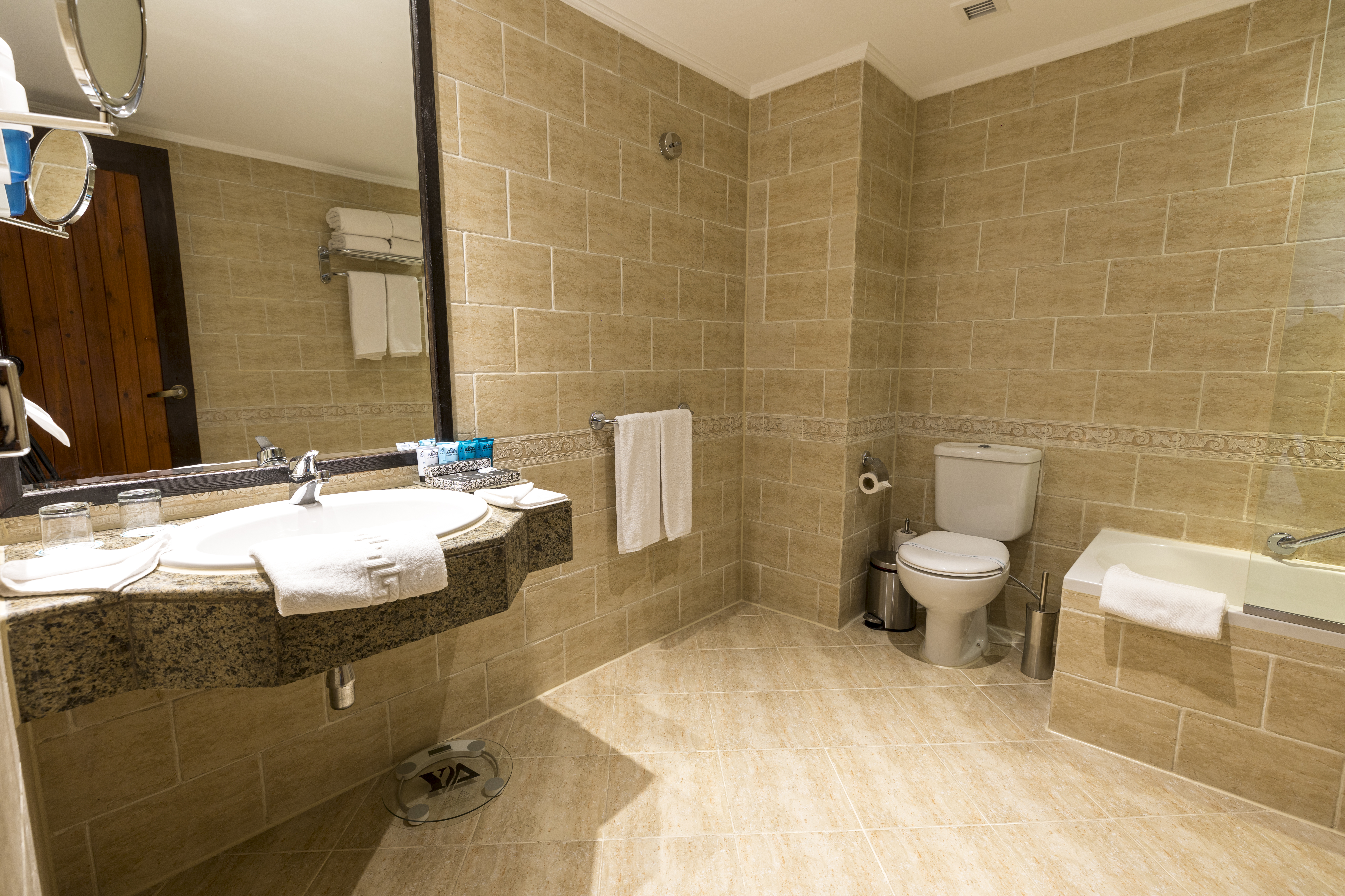 Family Room Bunk Bed