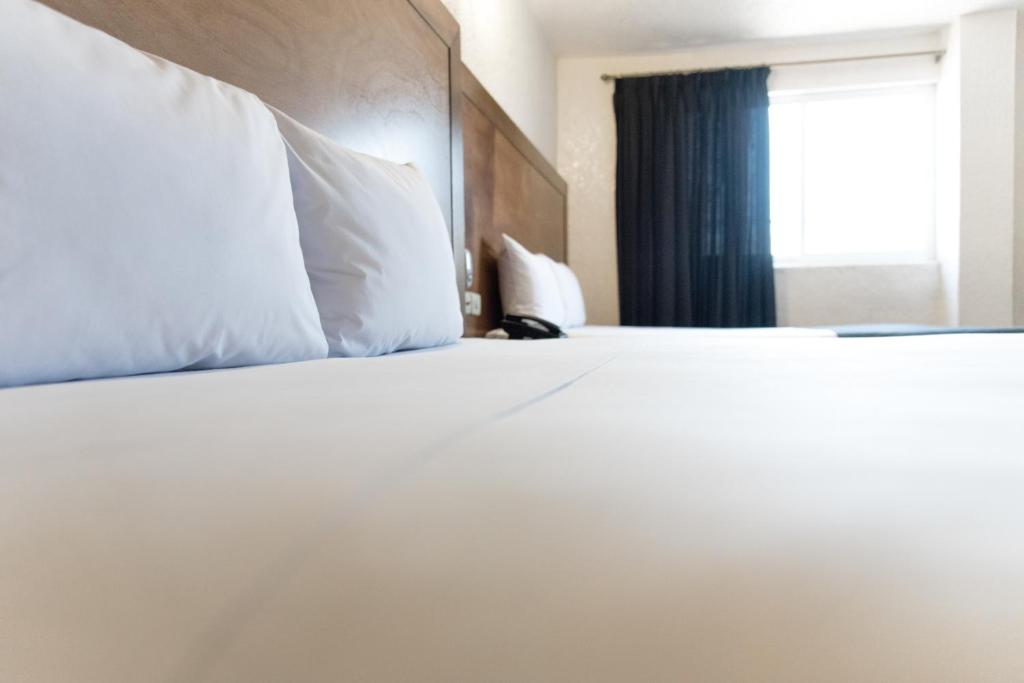 Quadruple Two Queen Beds