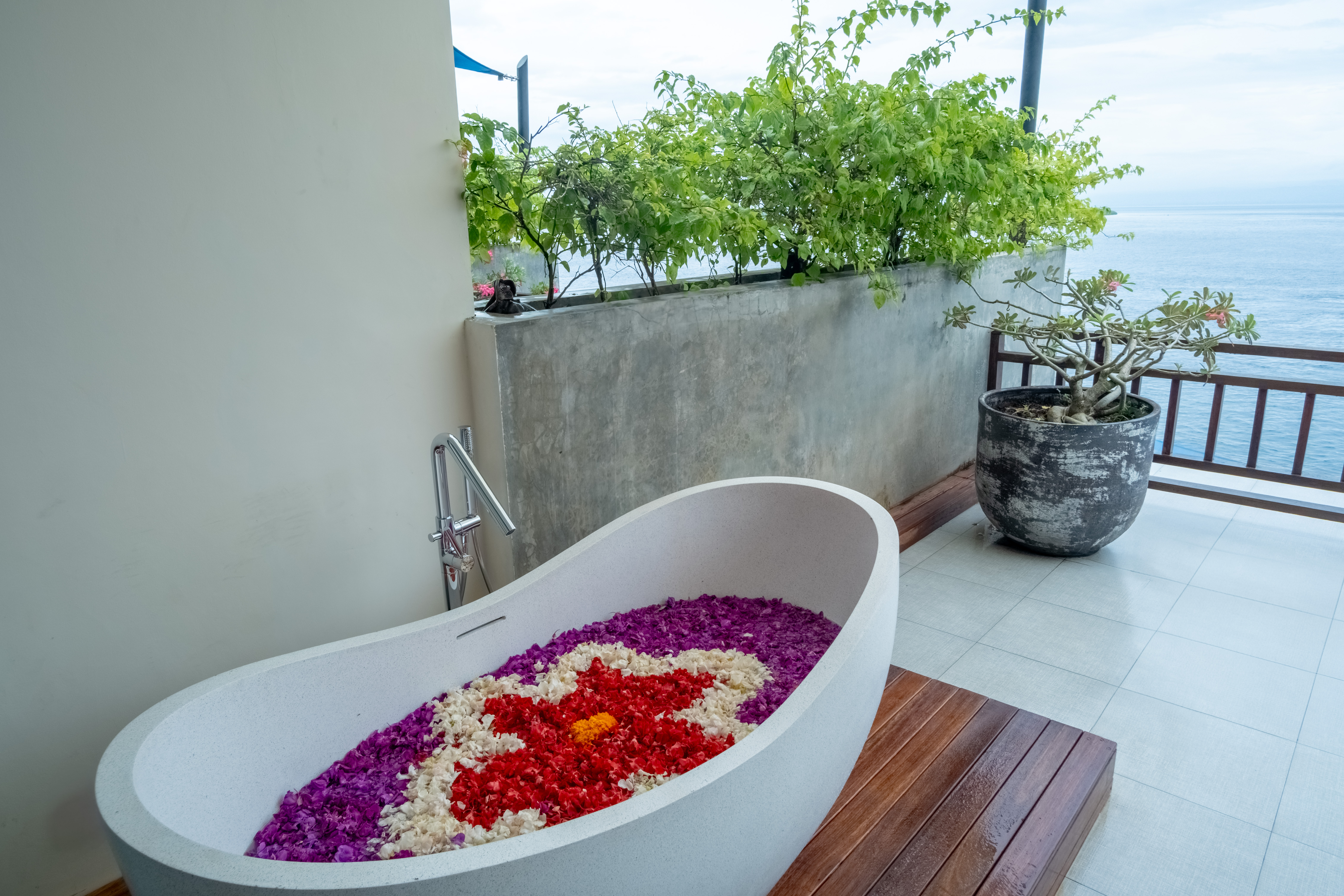 Suite One Bedroom One Bathroom