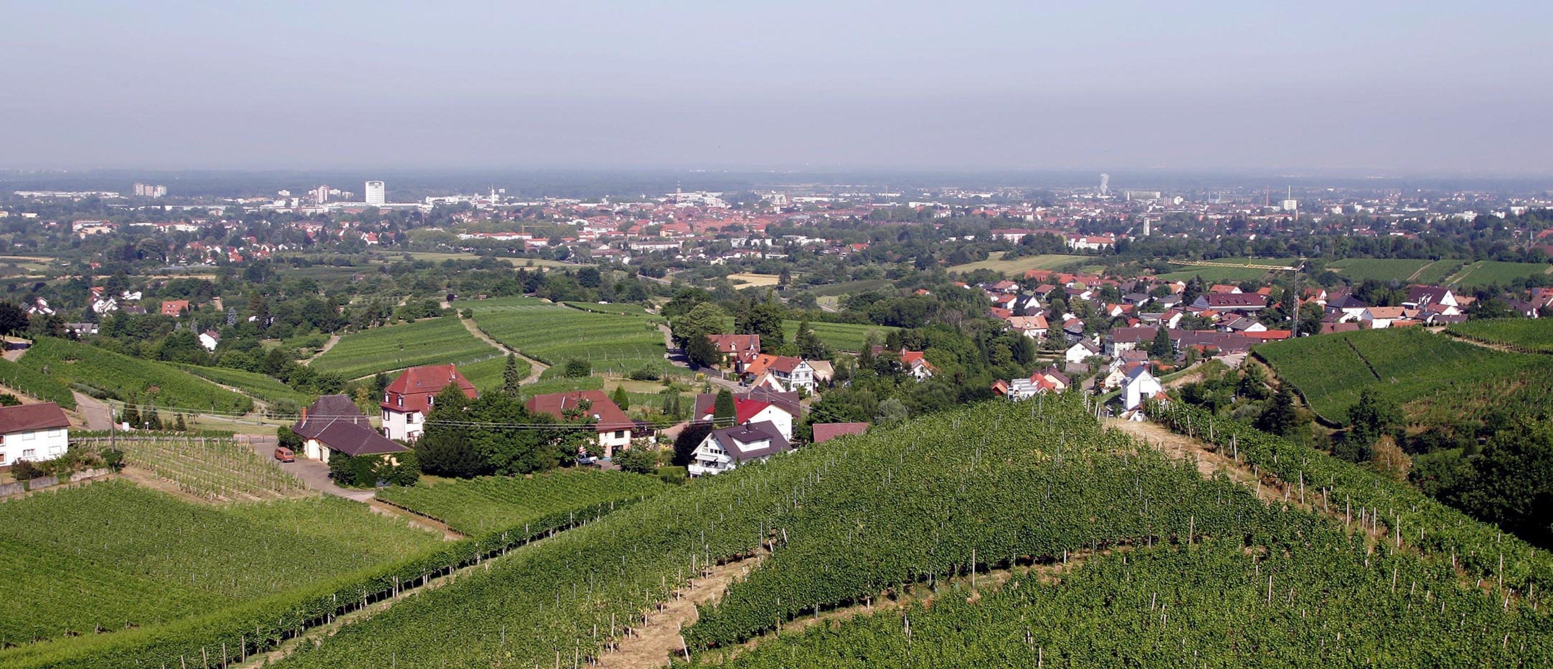 General View