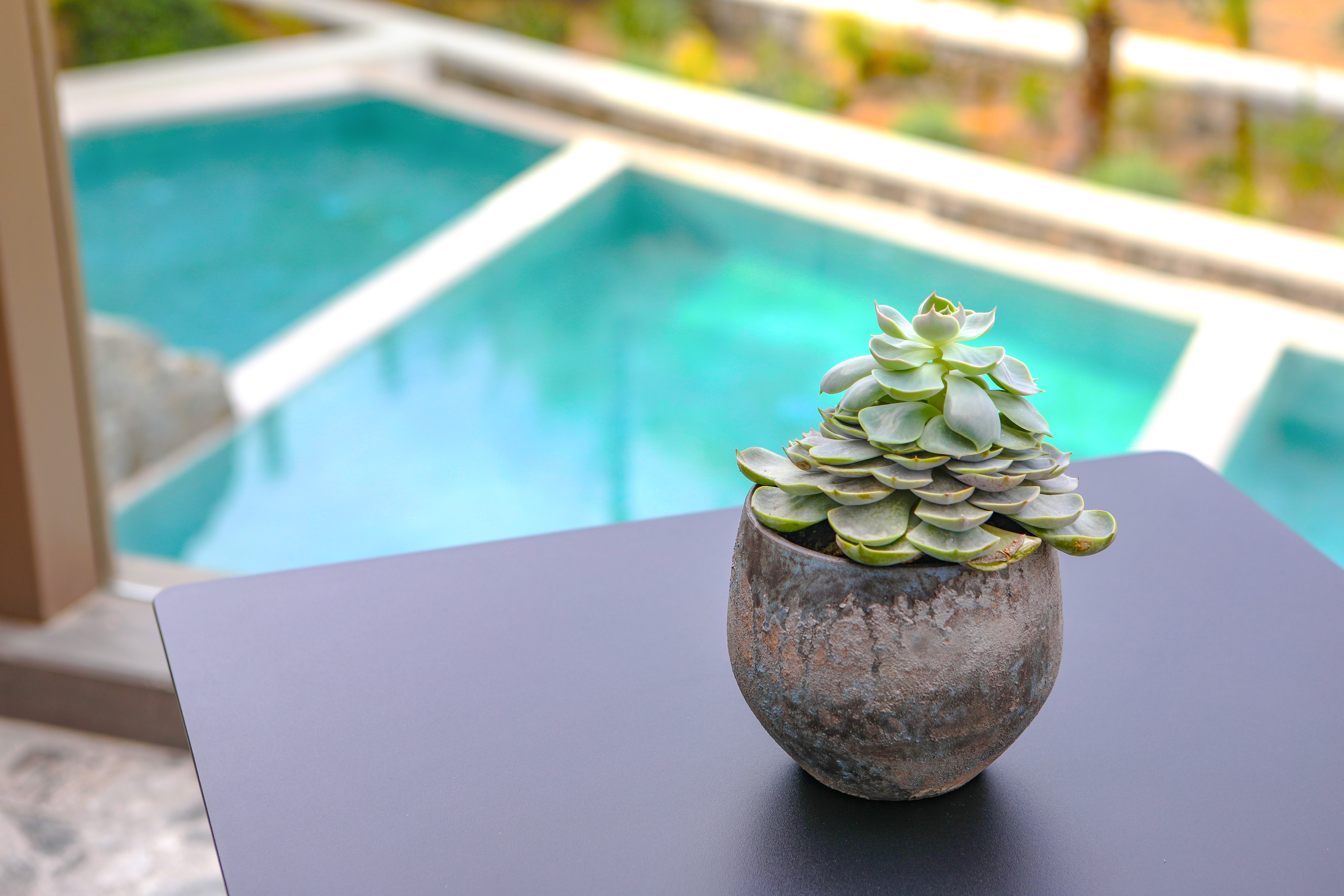 Junior Suite with Jacuzzi