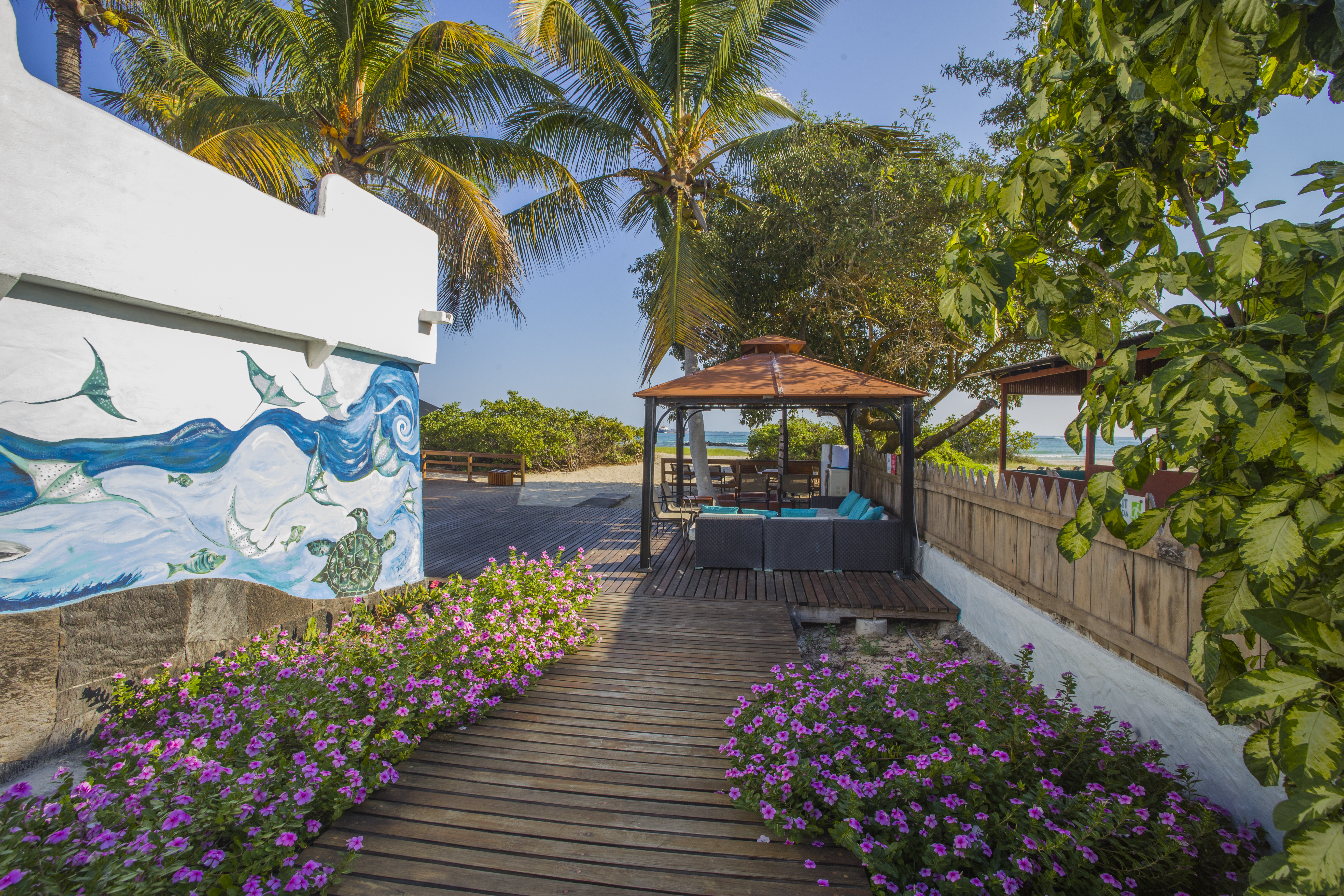 Room Deluxe Ocean View