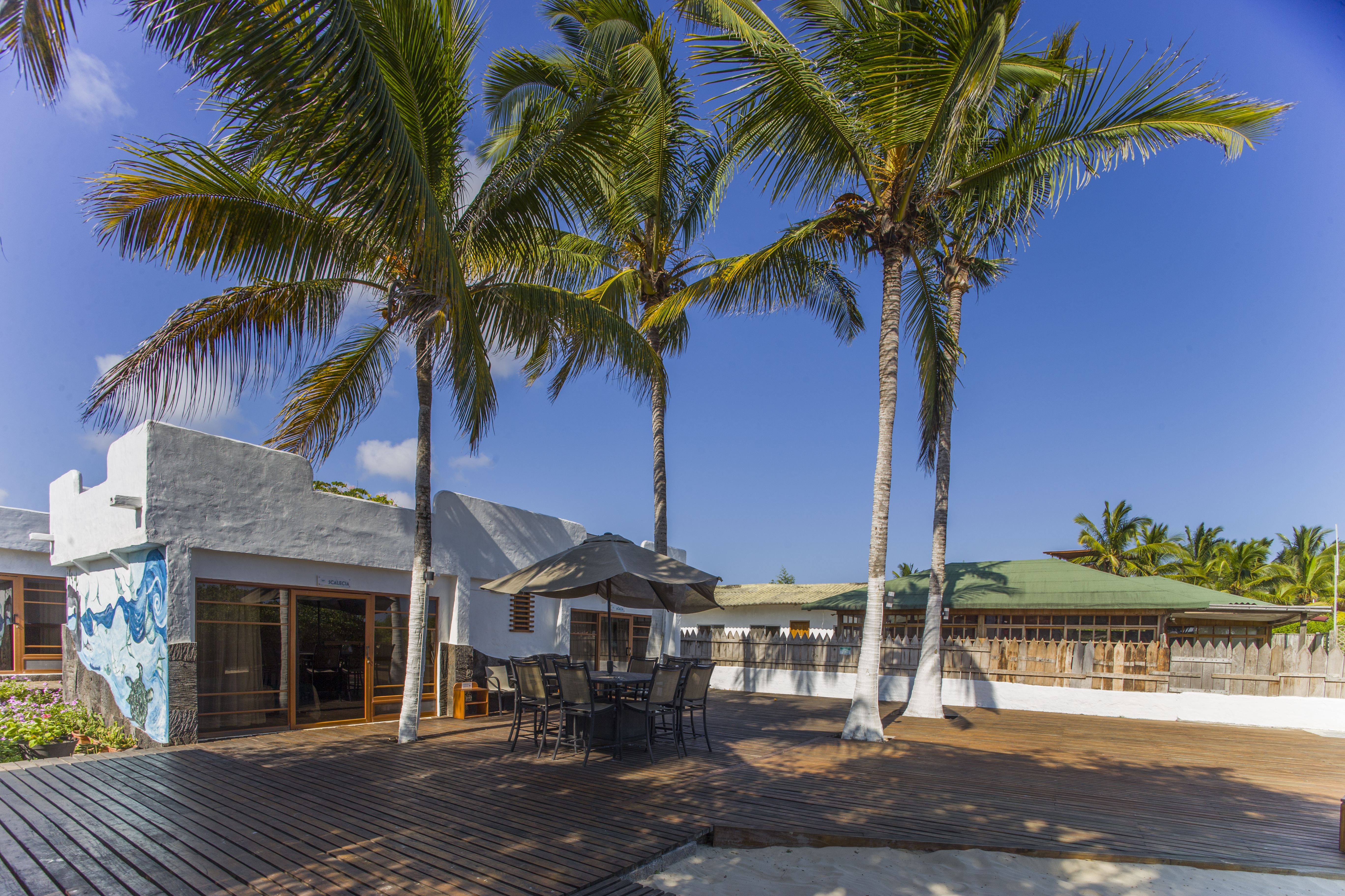 Room Deluxe Ocean View