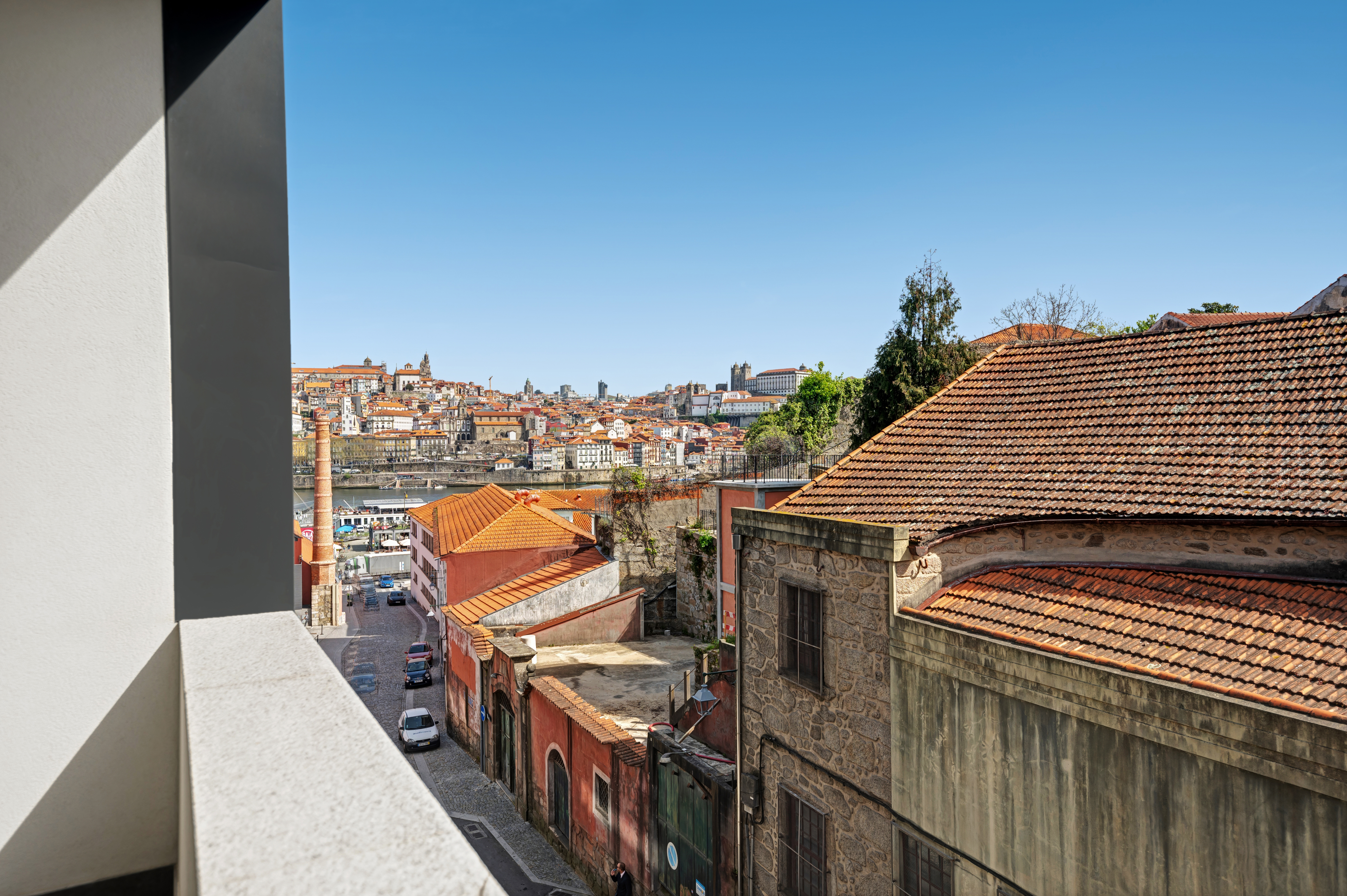 Junior Suite with Views