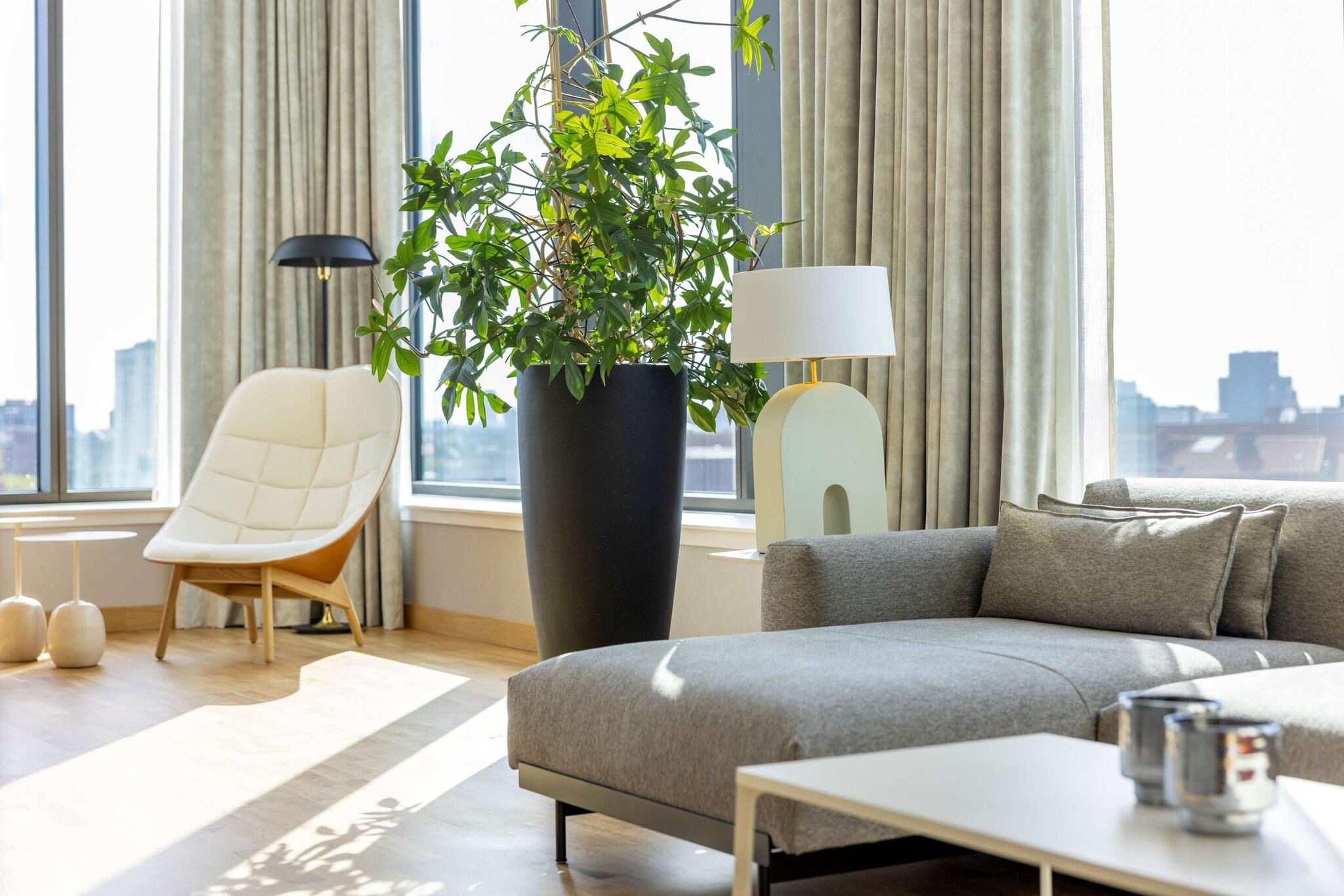 Suite Presidential with Views