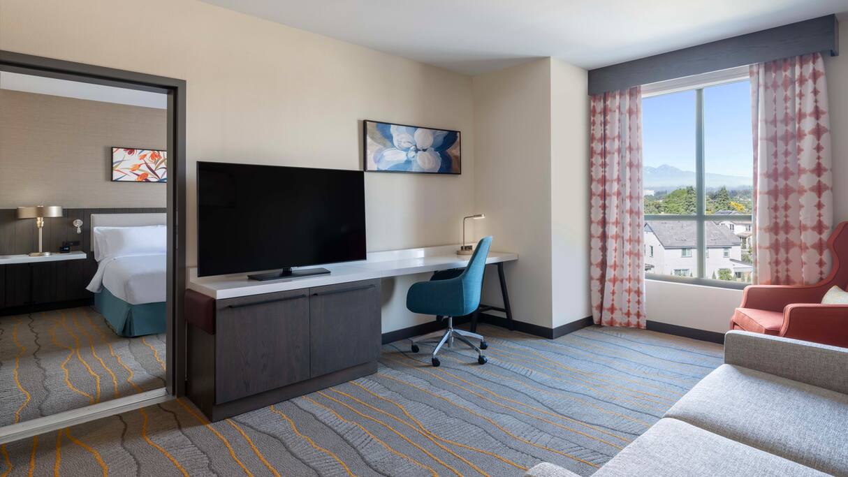 Suite Accessible King Size Bed