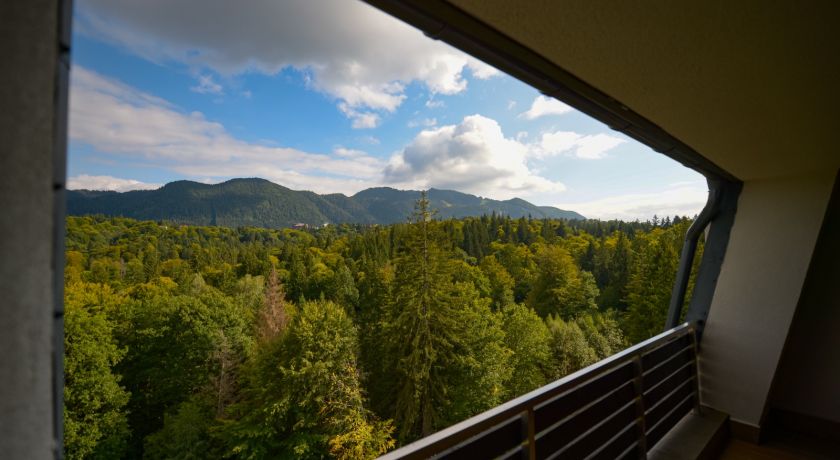 Junior Suite Mountain View