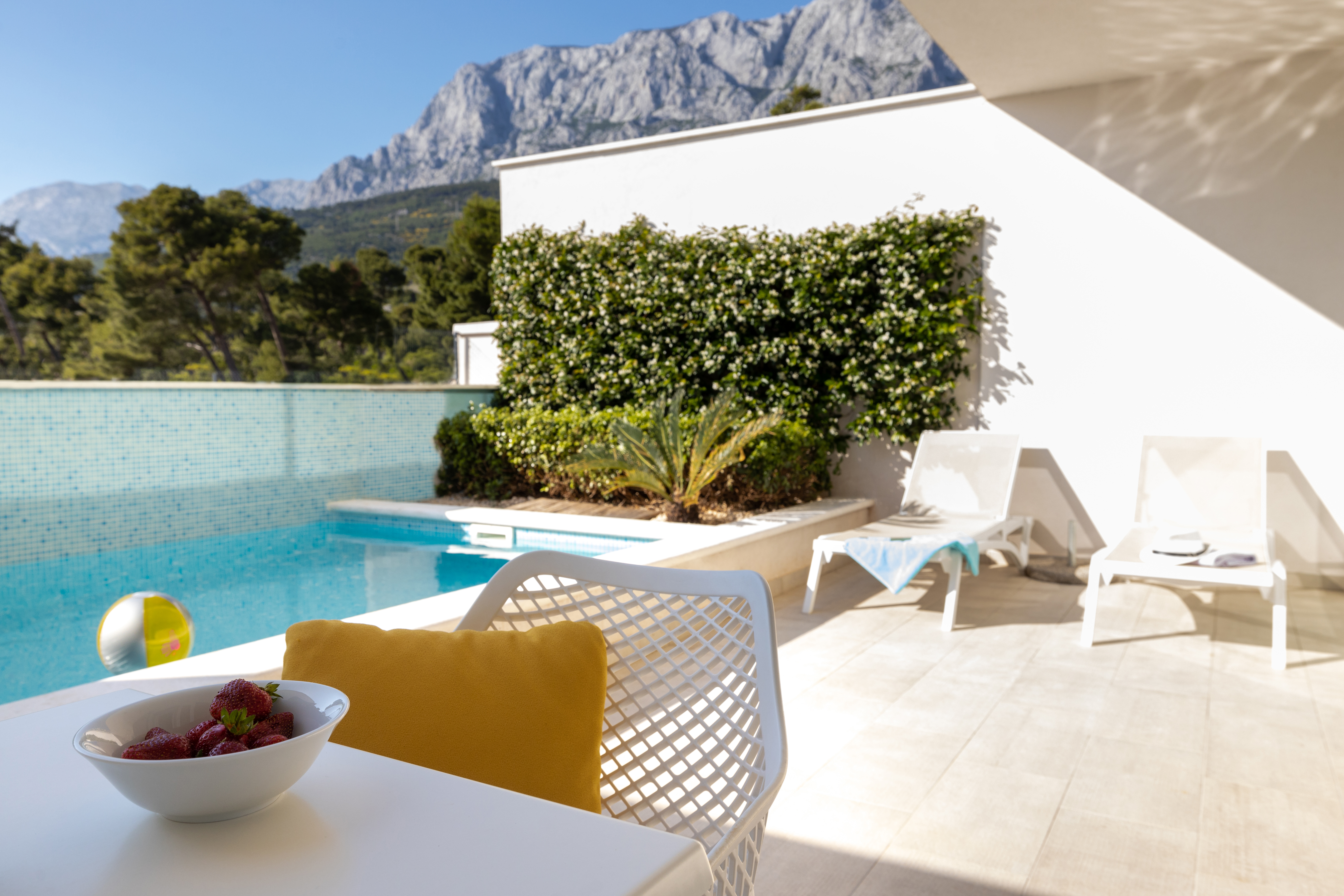 Apartment Deluxe Park View