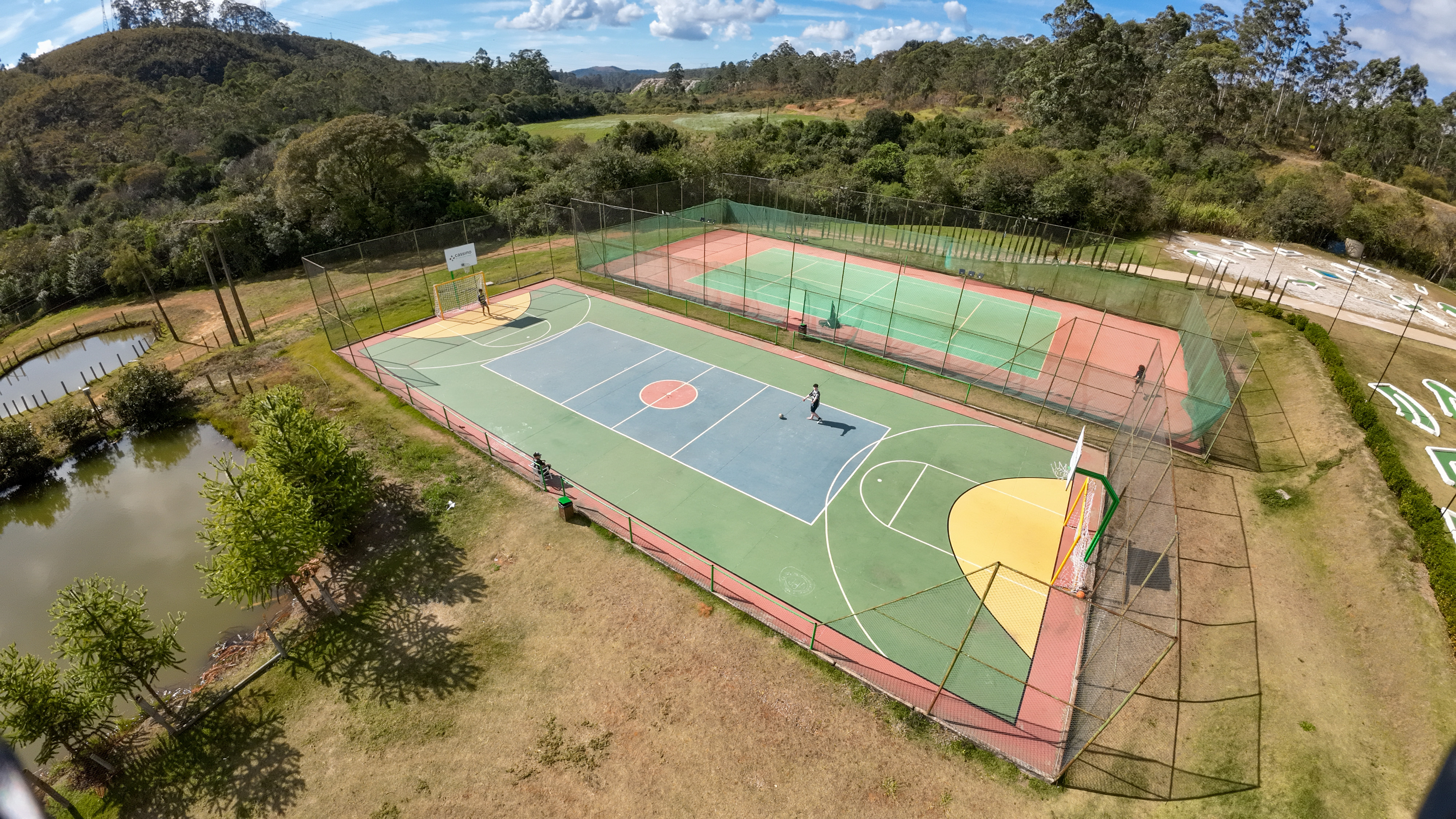 Sports and Entertainment