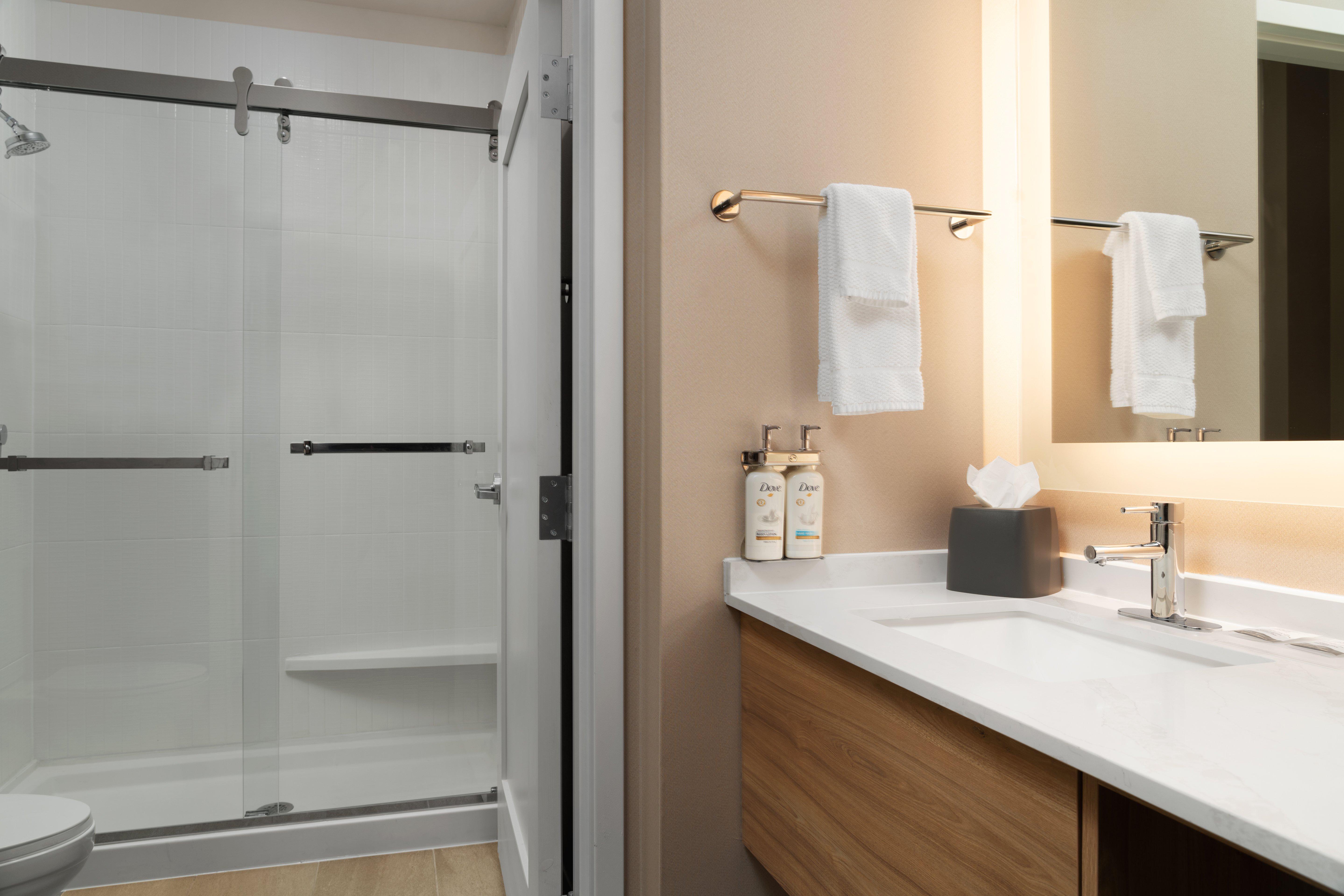 Suite King Bed One Bedroom 