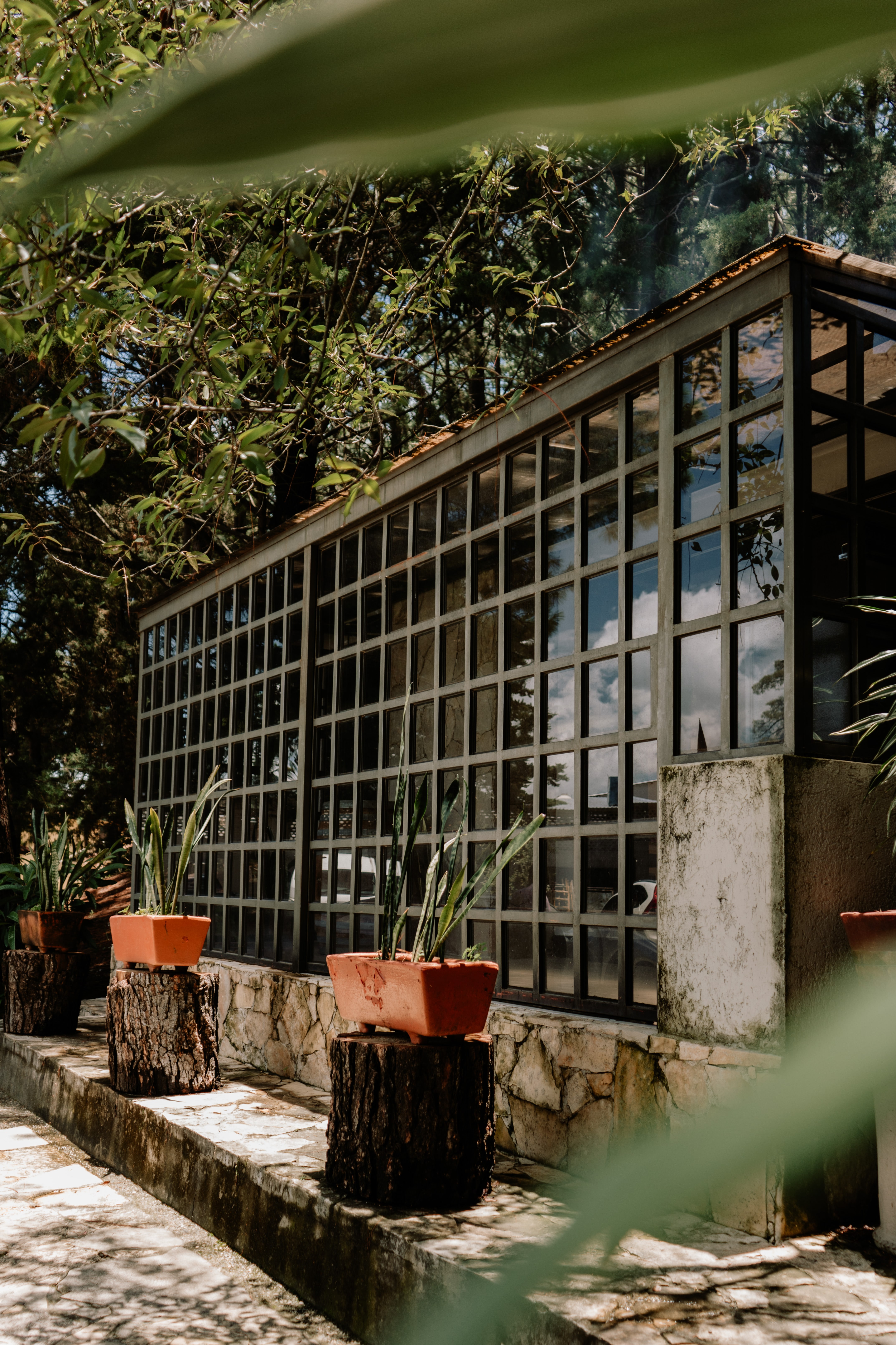 Bungalow Luxury One Bedroom