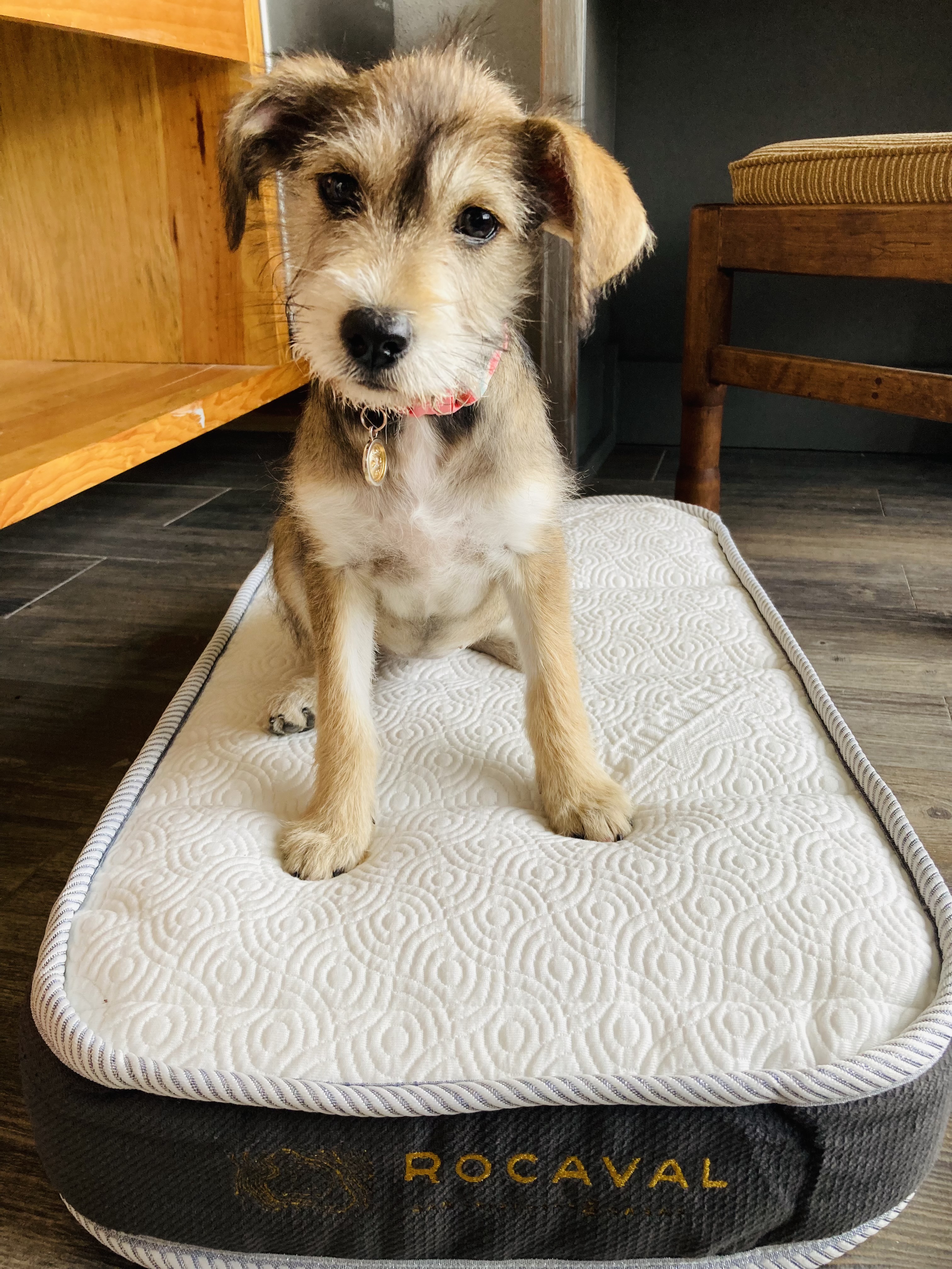 Bungalow Luxury One Bedroom