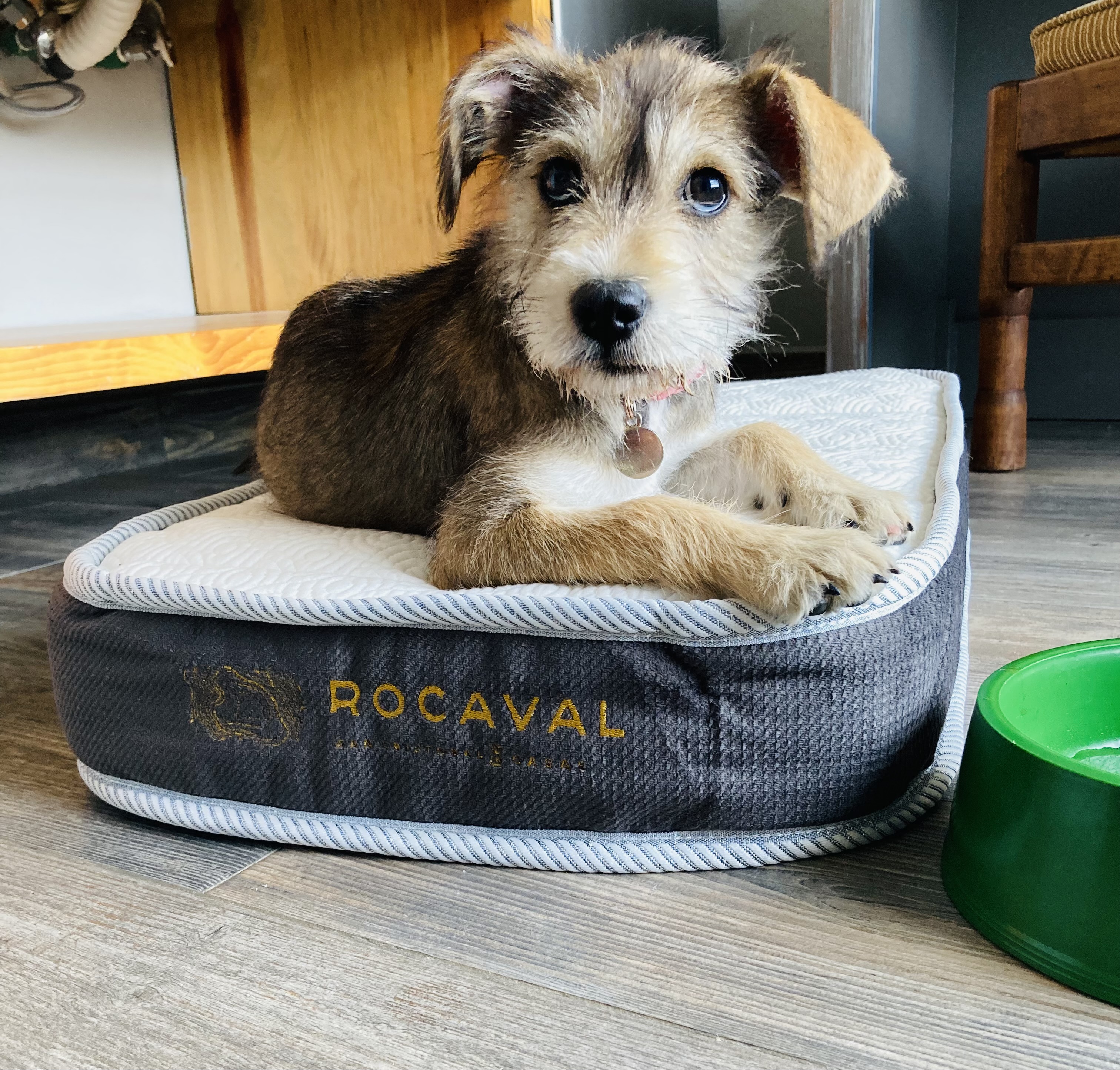 Bungalow Luxury One Bedroom