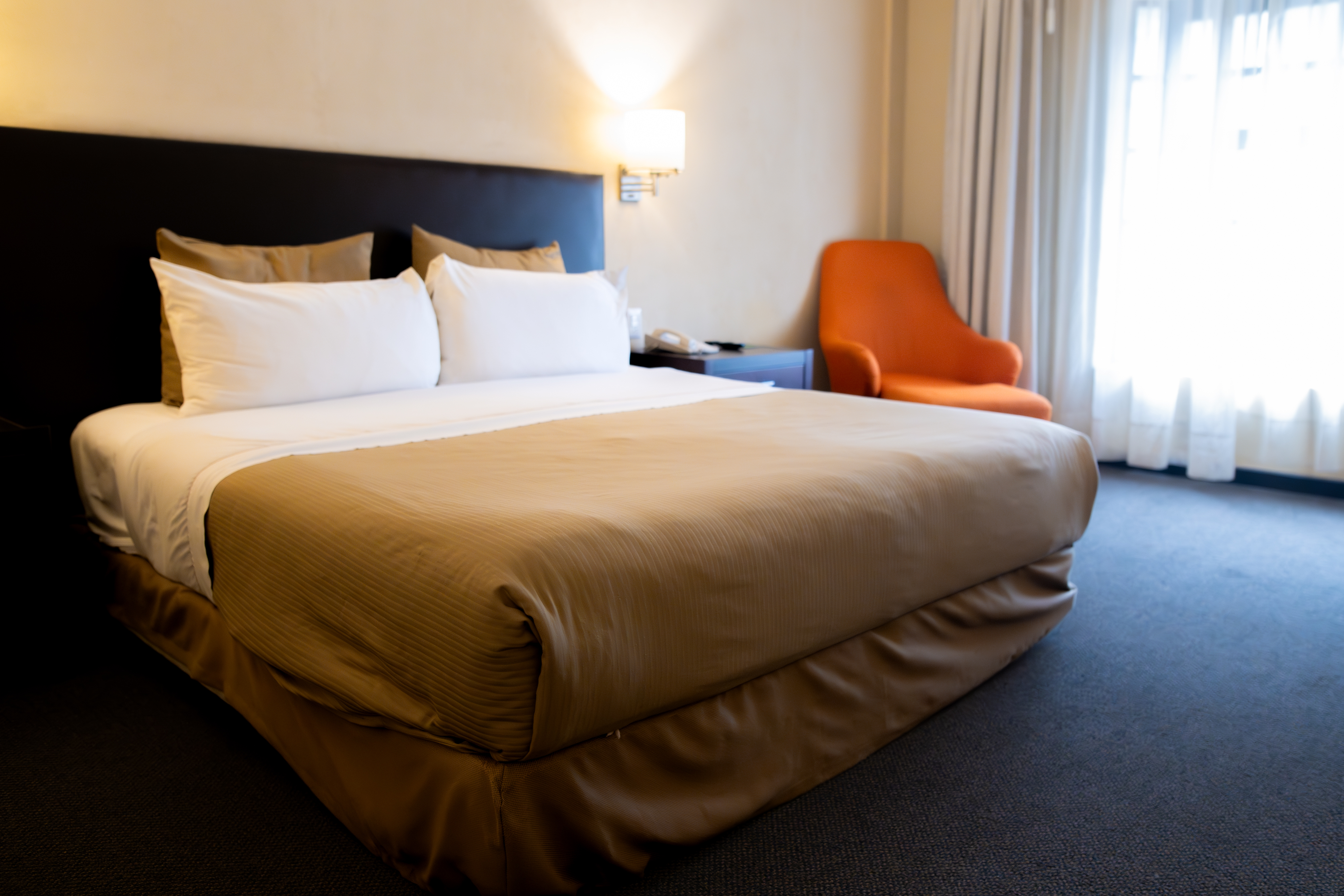 Room Executive King Bed