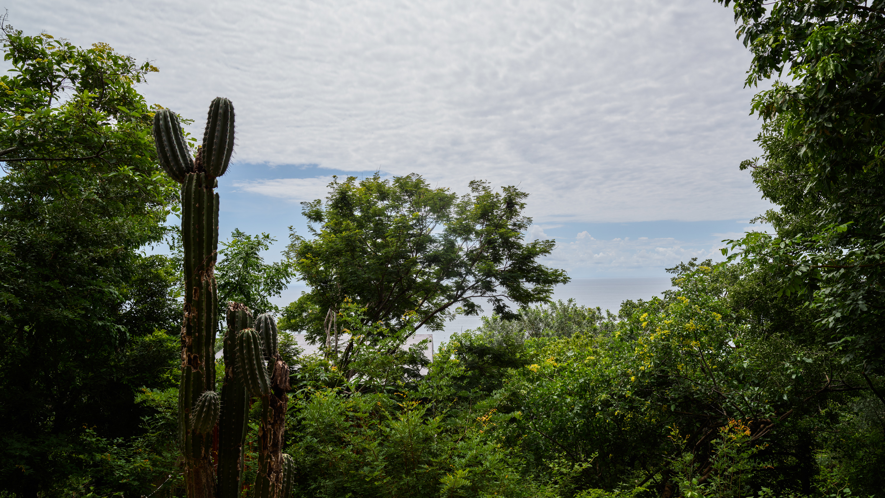 Room Premium Ocean View