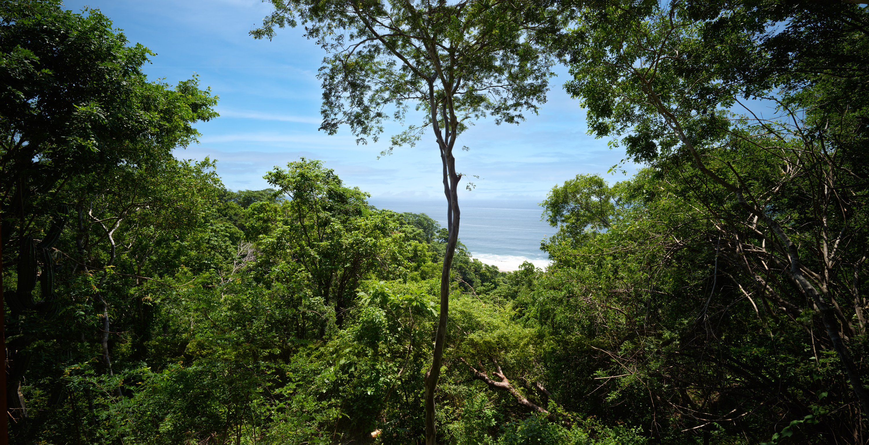 Room Premium Ocean View