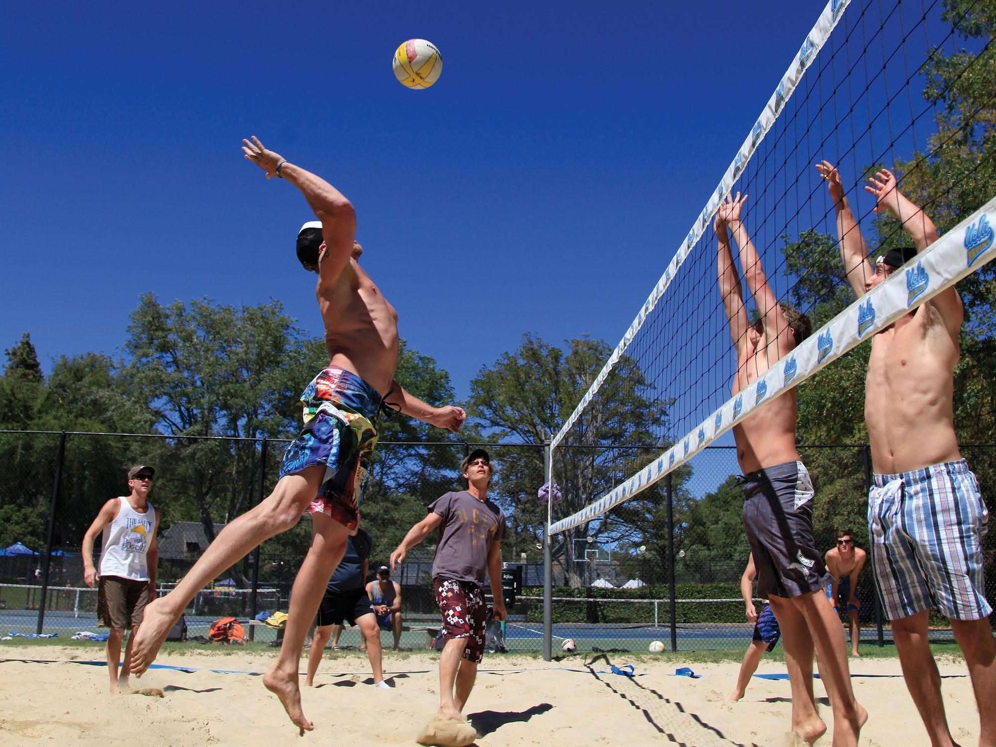 Sports and Entertainment