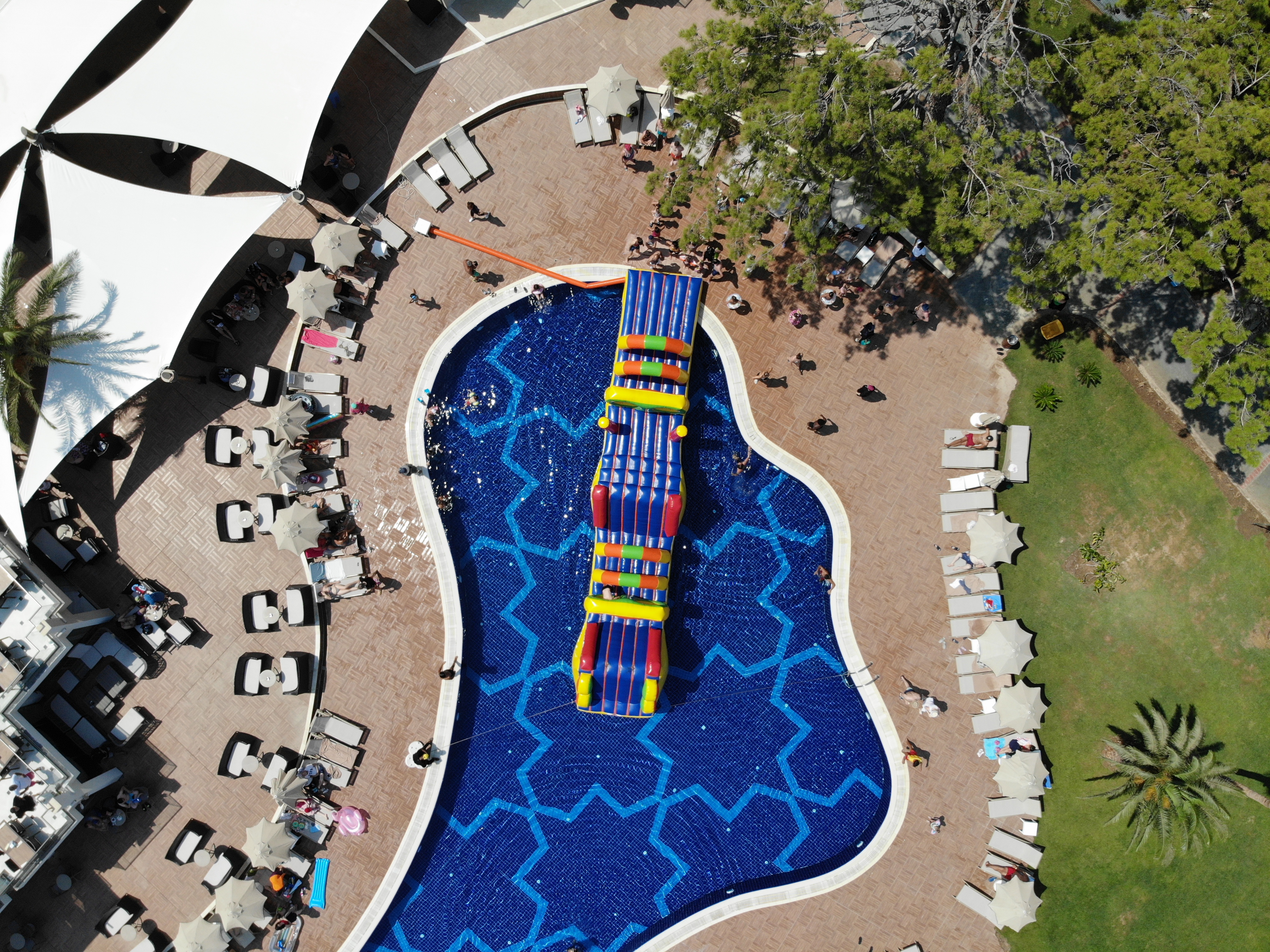 Sports and Entertainment