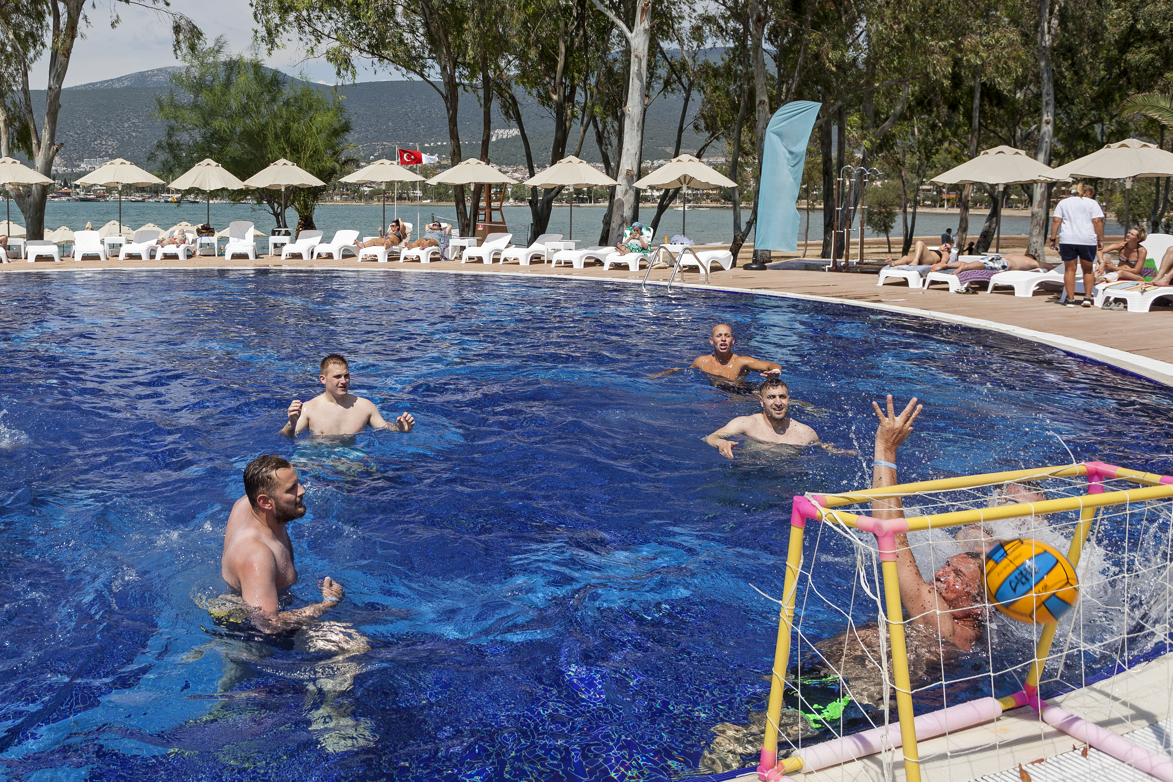 Sports and Entertainment