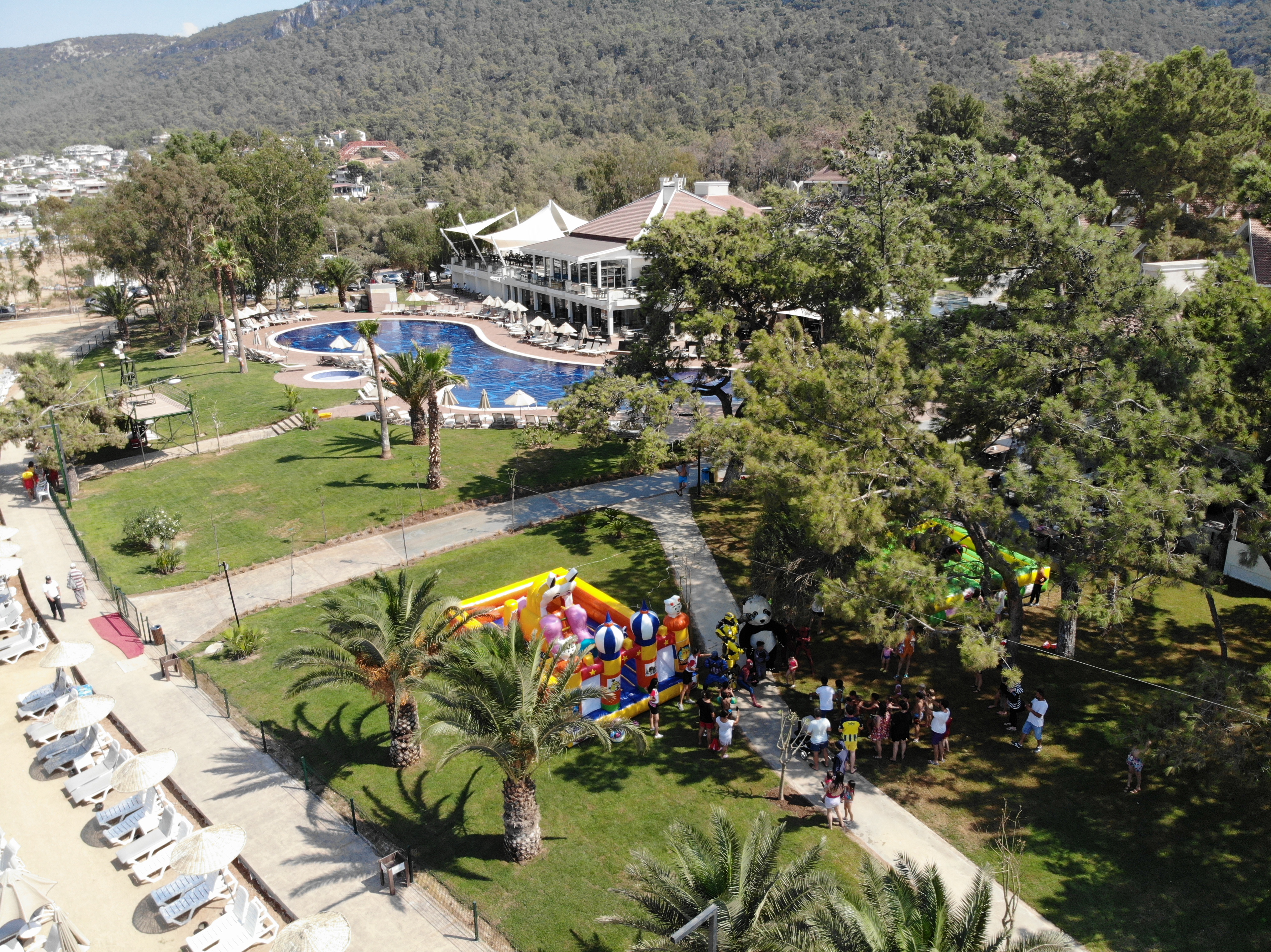 Sports and Entertainment