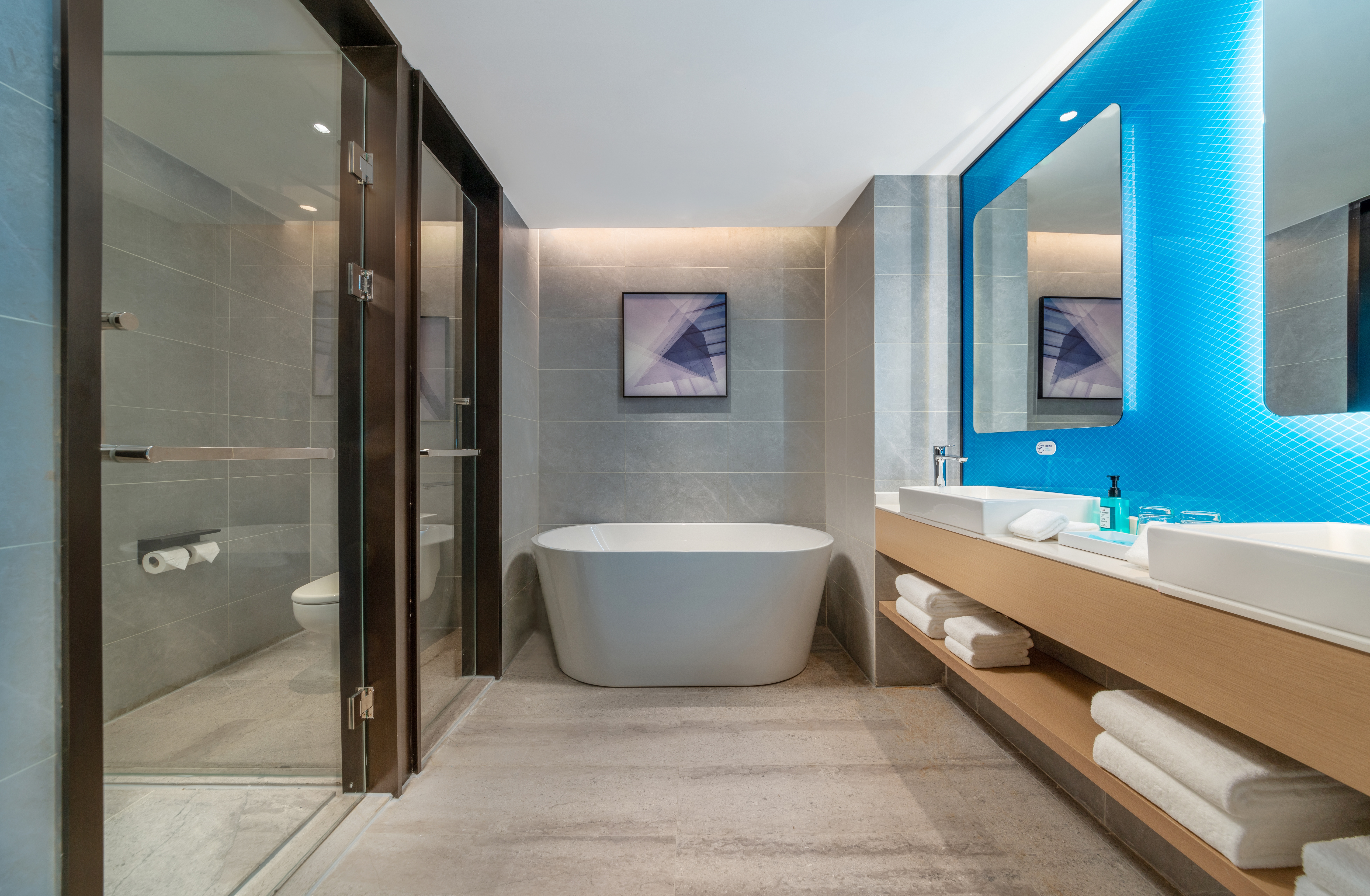 Suite King Bed One Bedroom 