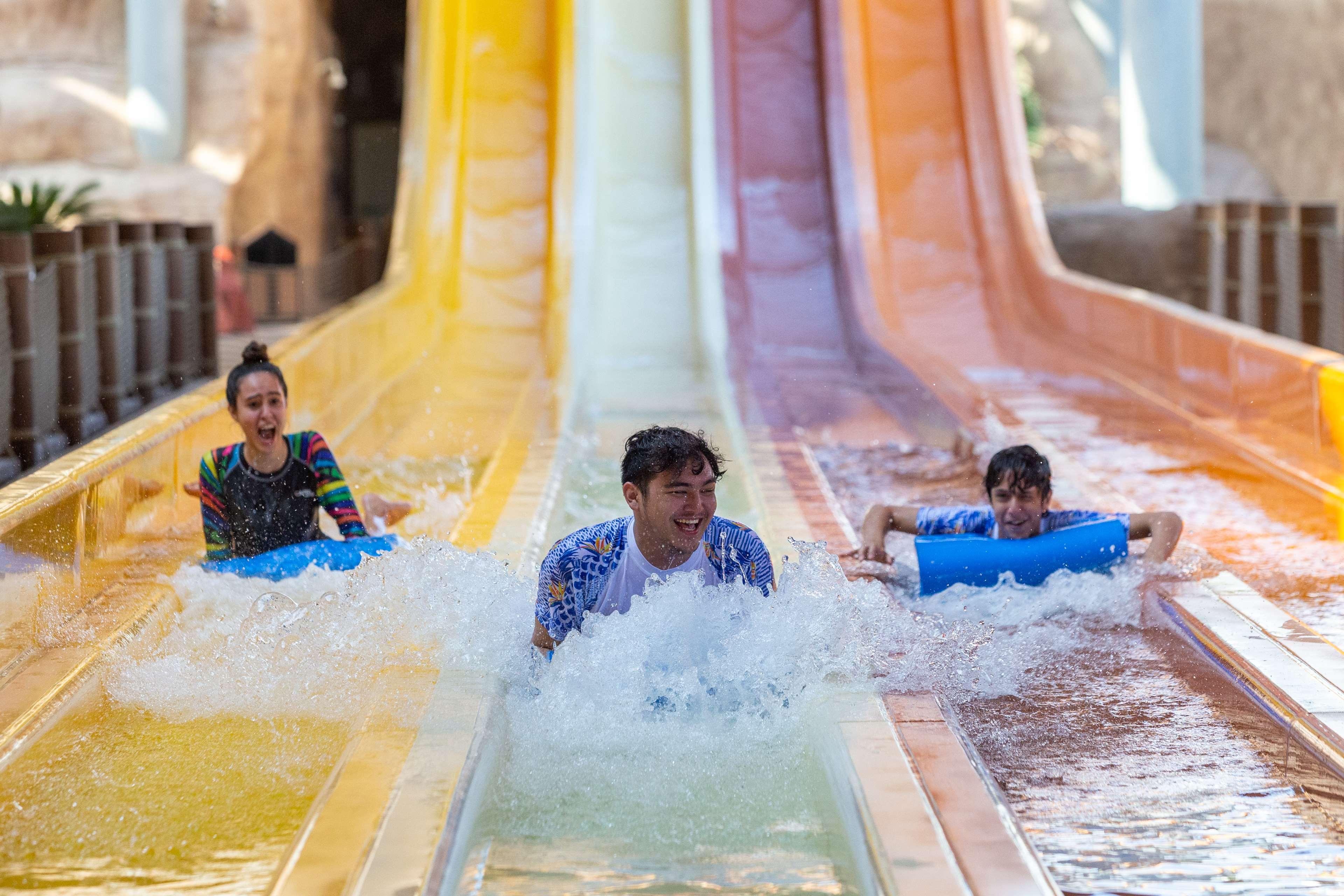 Sports and Entertainment