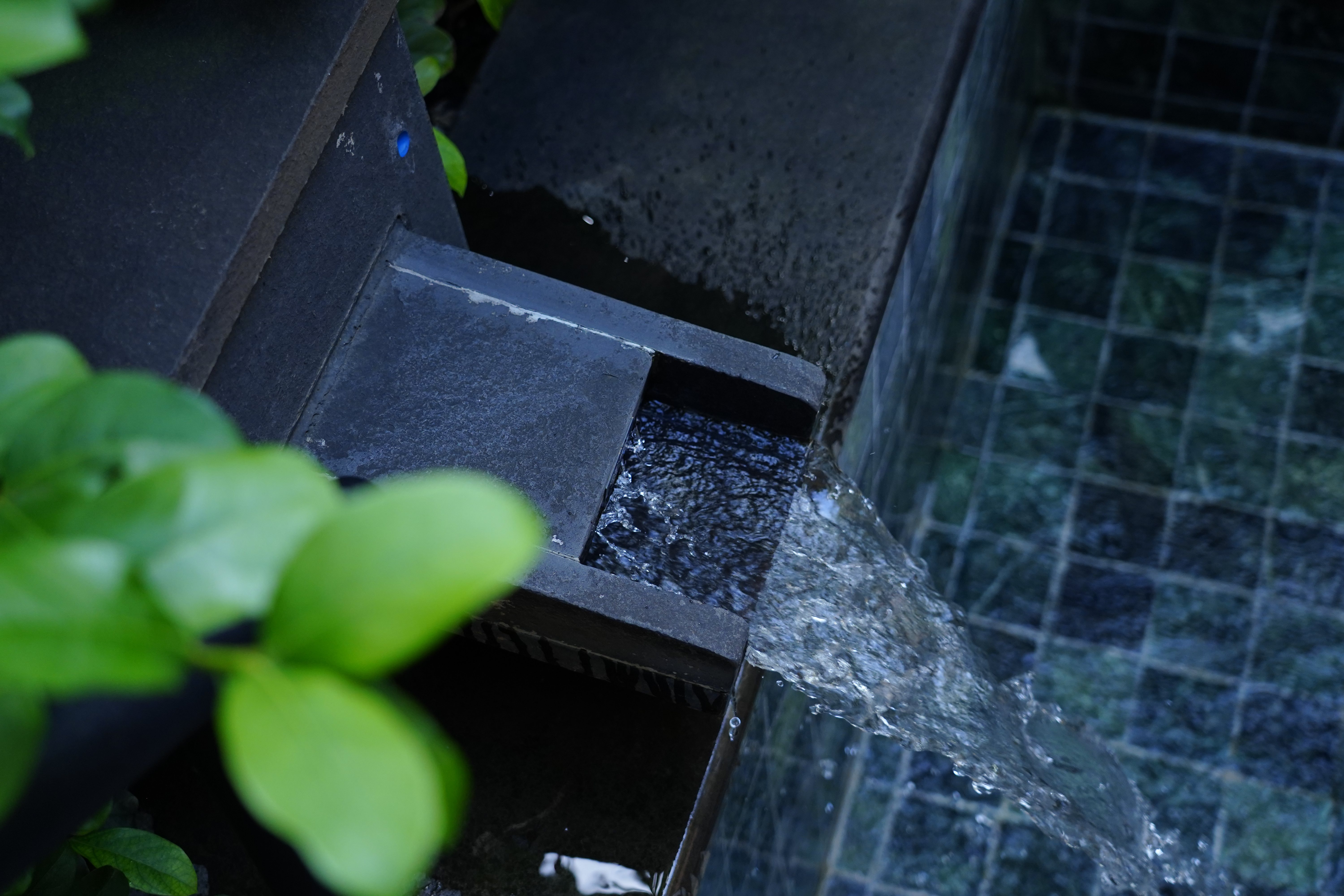 Double Deluxe King Bed