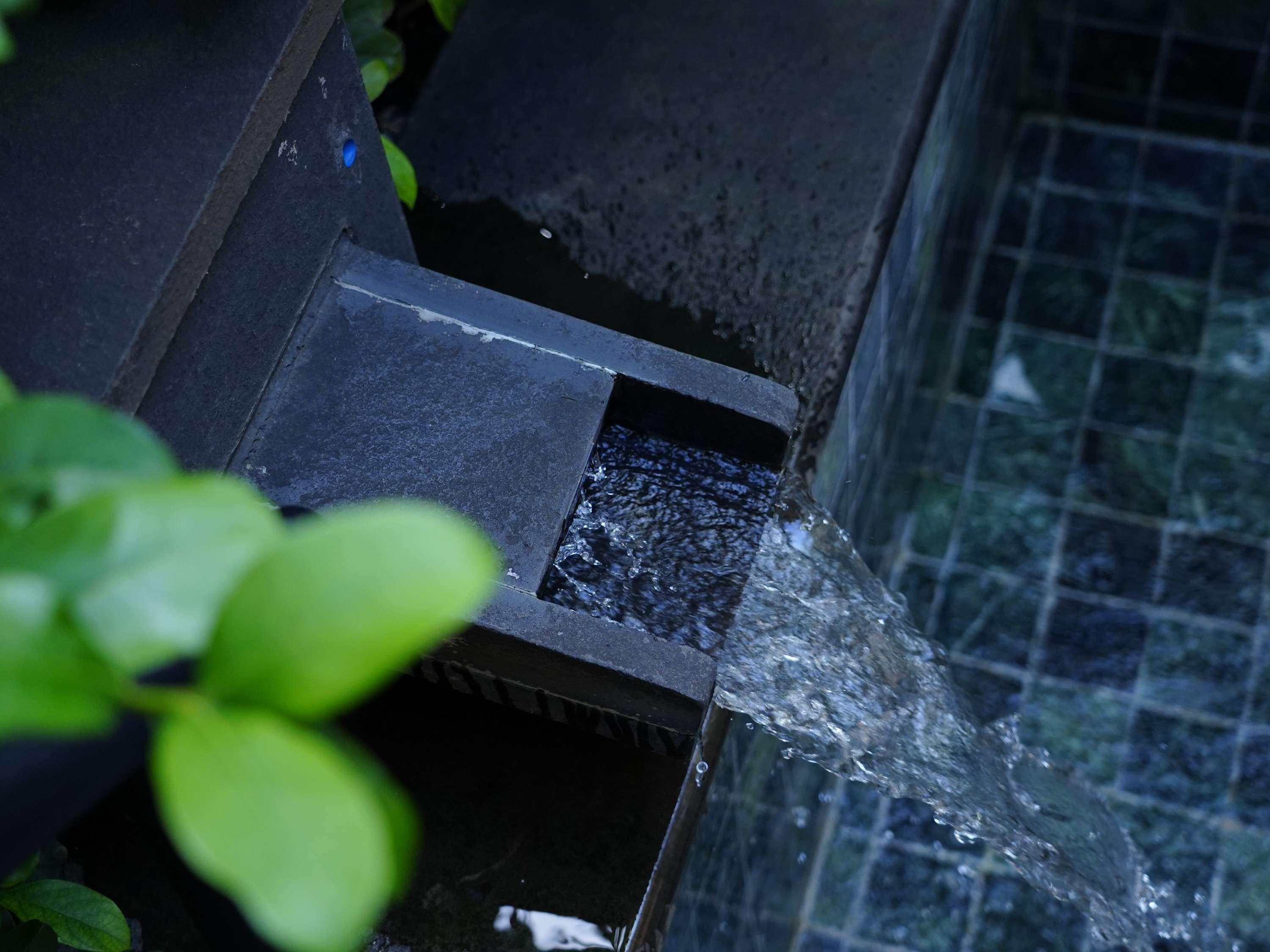 Double Deluxe King Bed