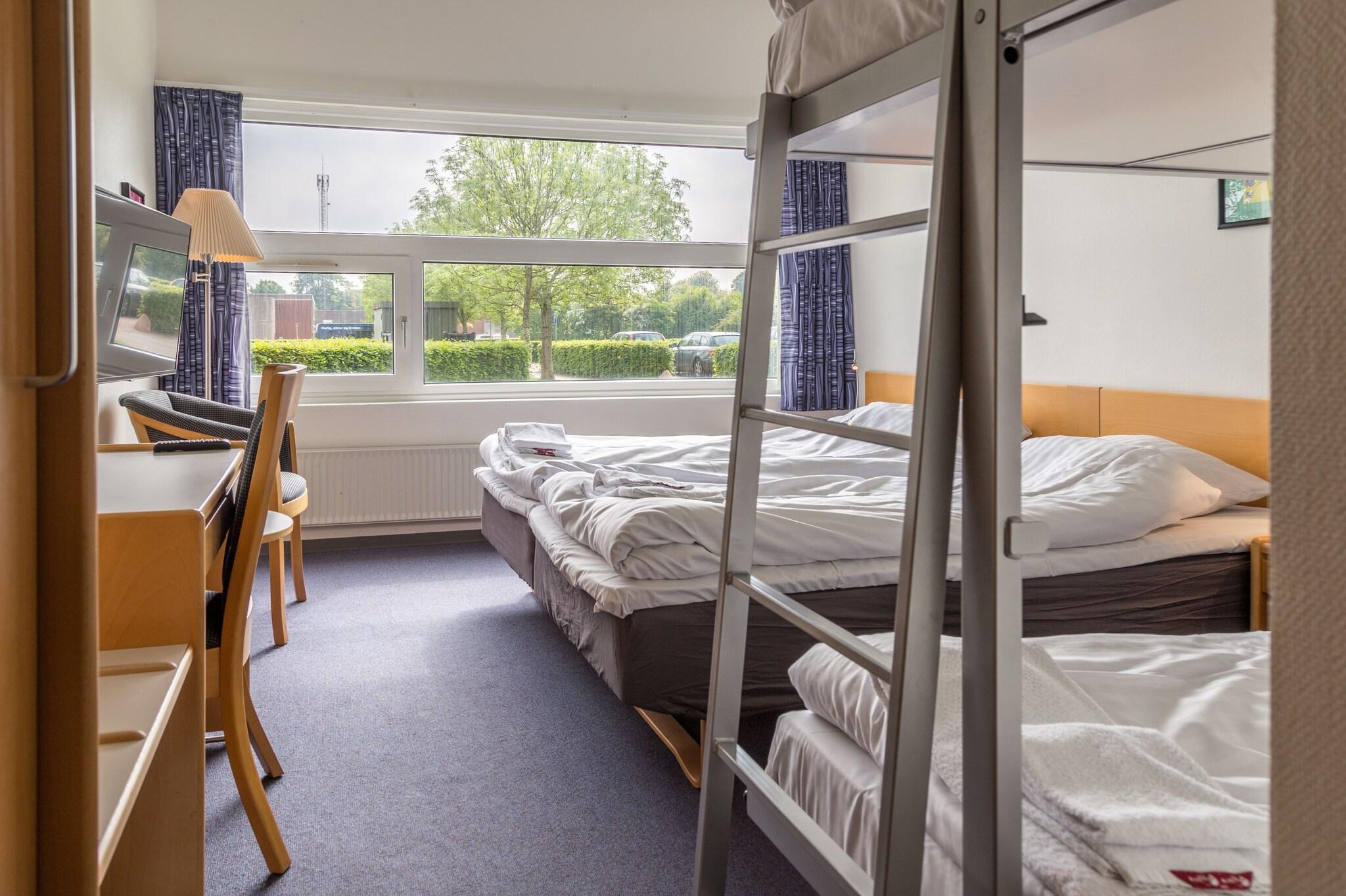 Family Room Bunk Bed