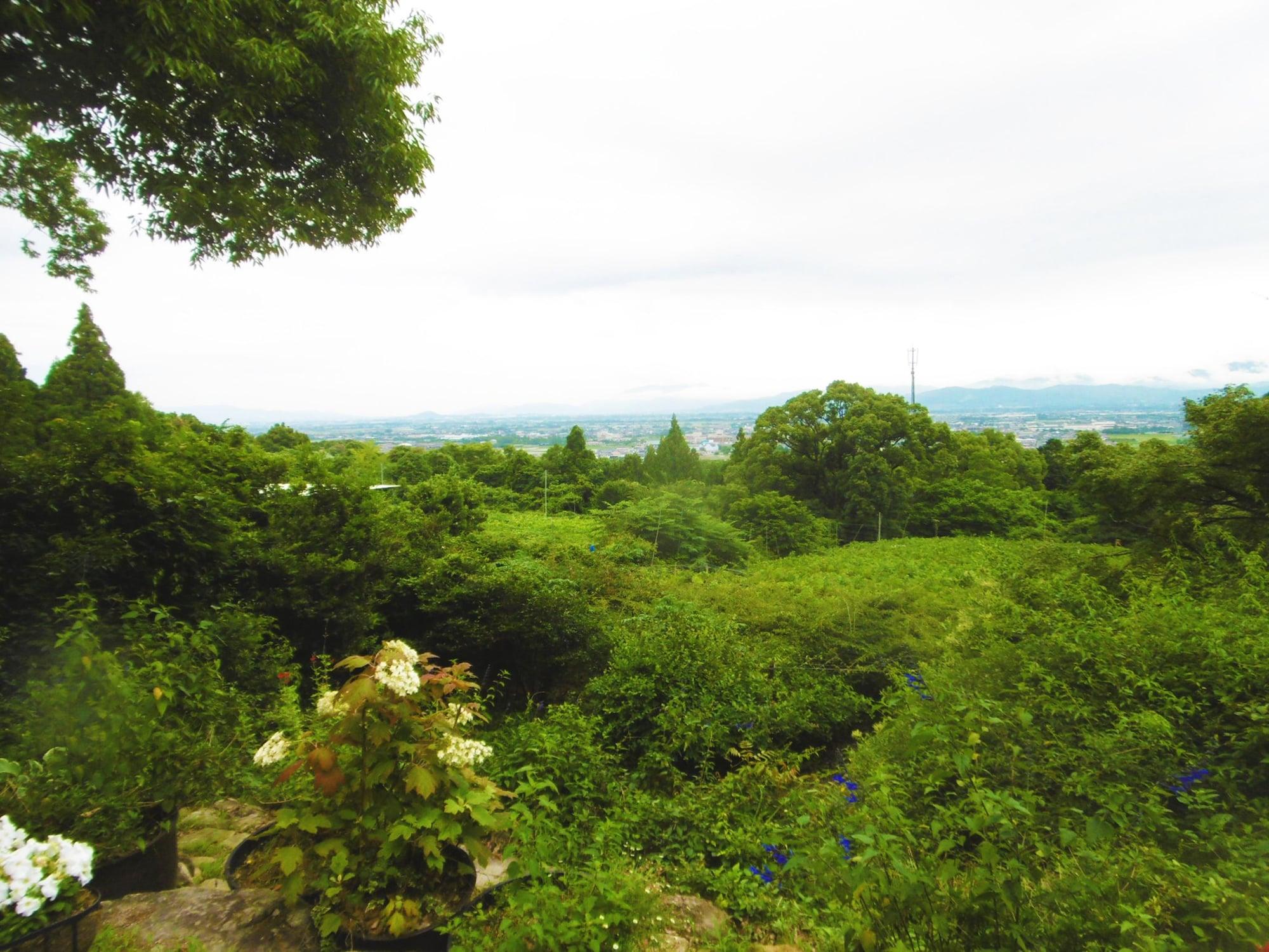 General View