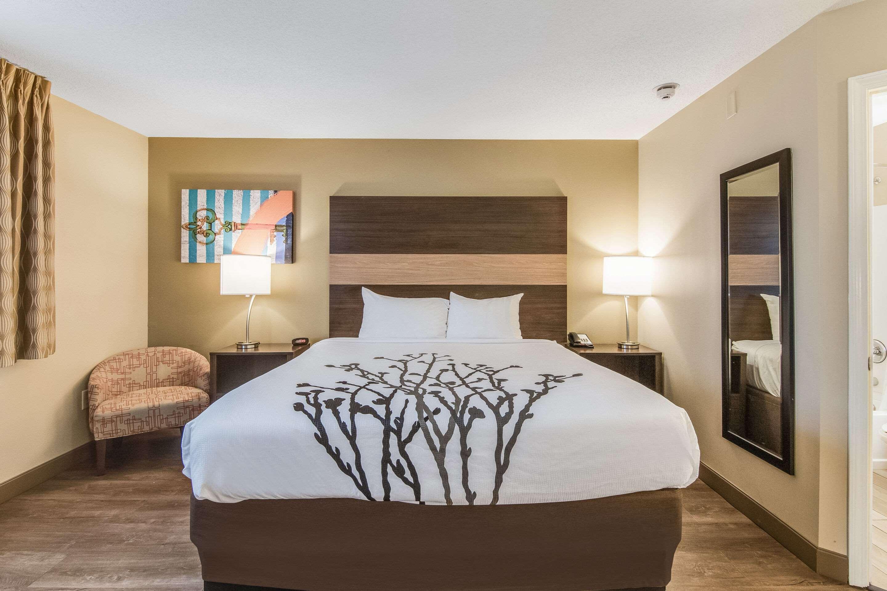 Suite Accessible King Size Bed