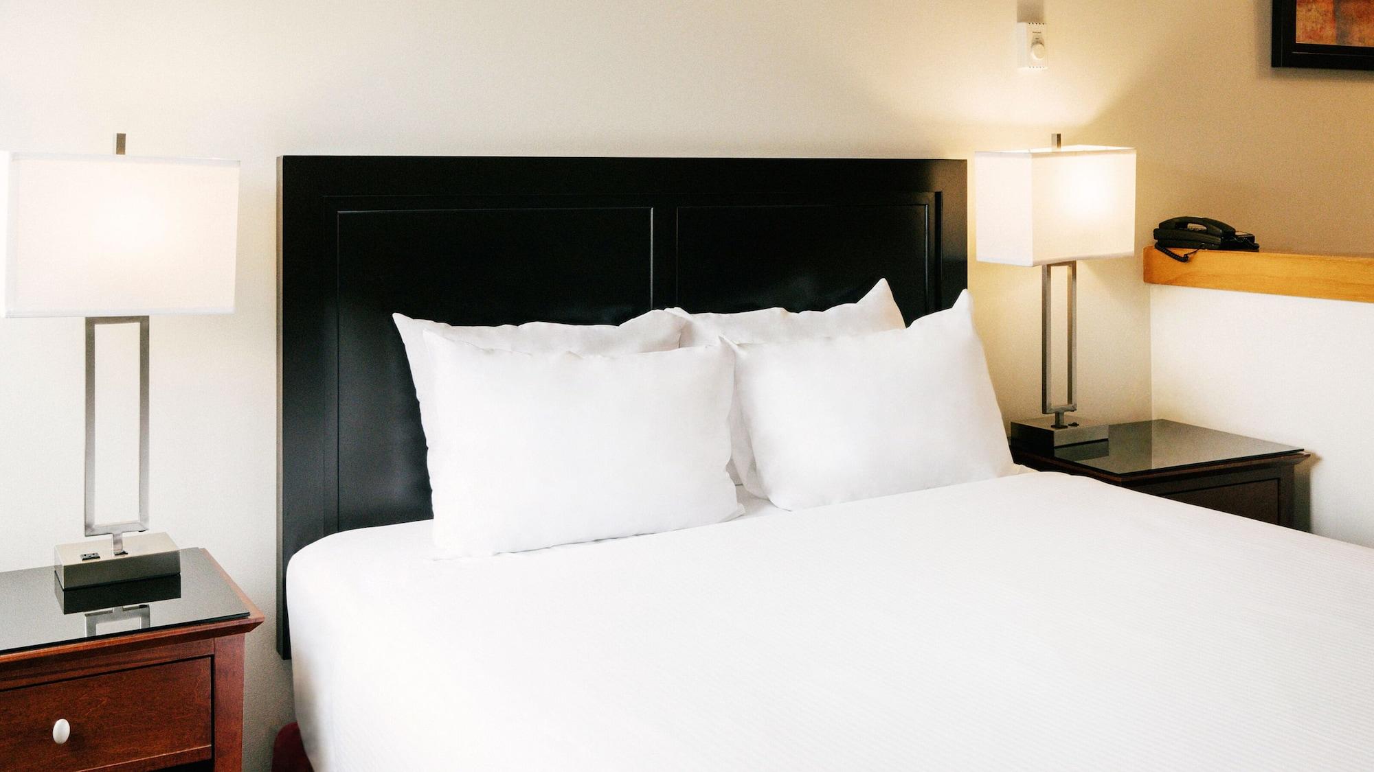 Studio Queen Size Bed