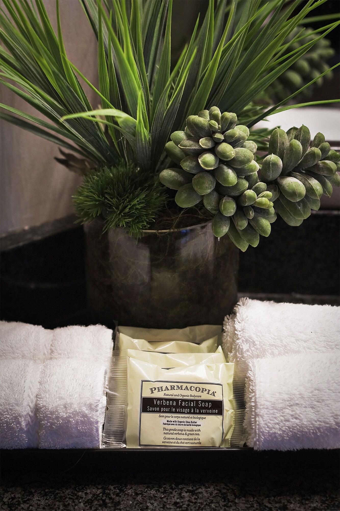 Studio Queen Size Bed