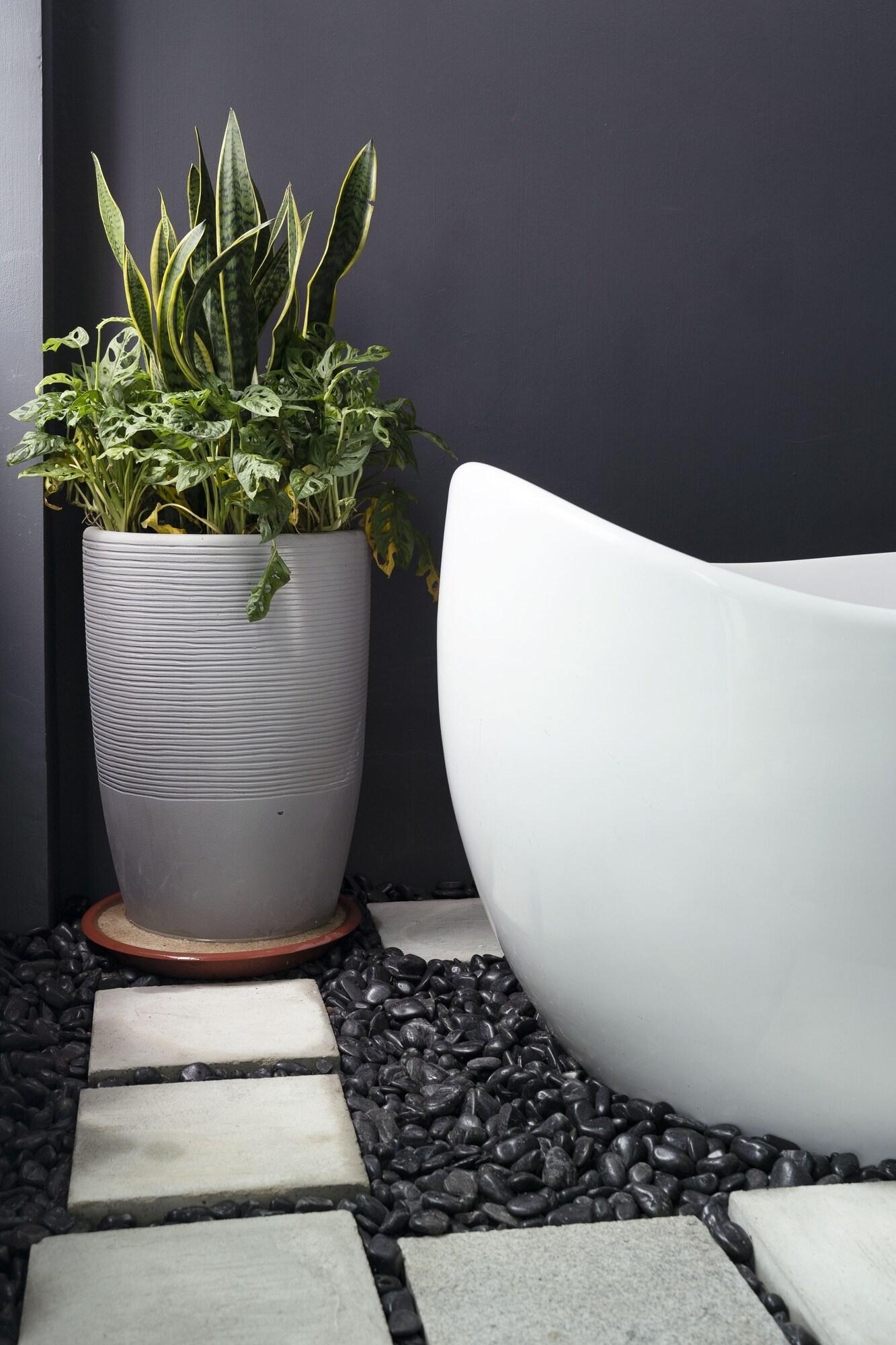 Double Deluxe Queen Bed