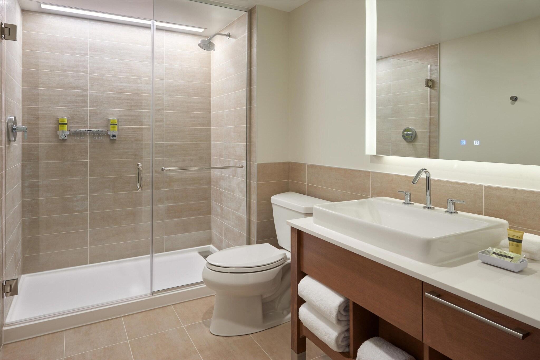 Suite King Bed One Bedroom 