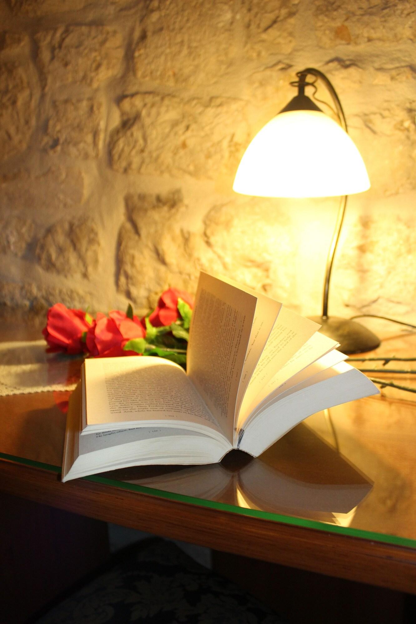 Single Queen Size Bed